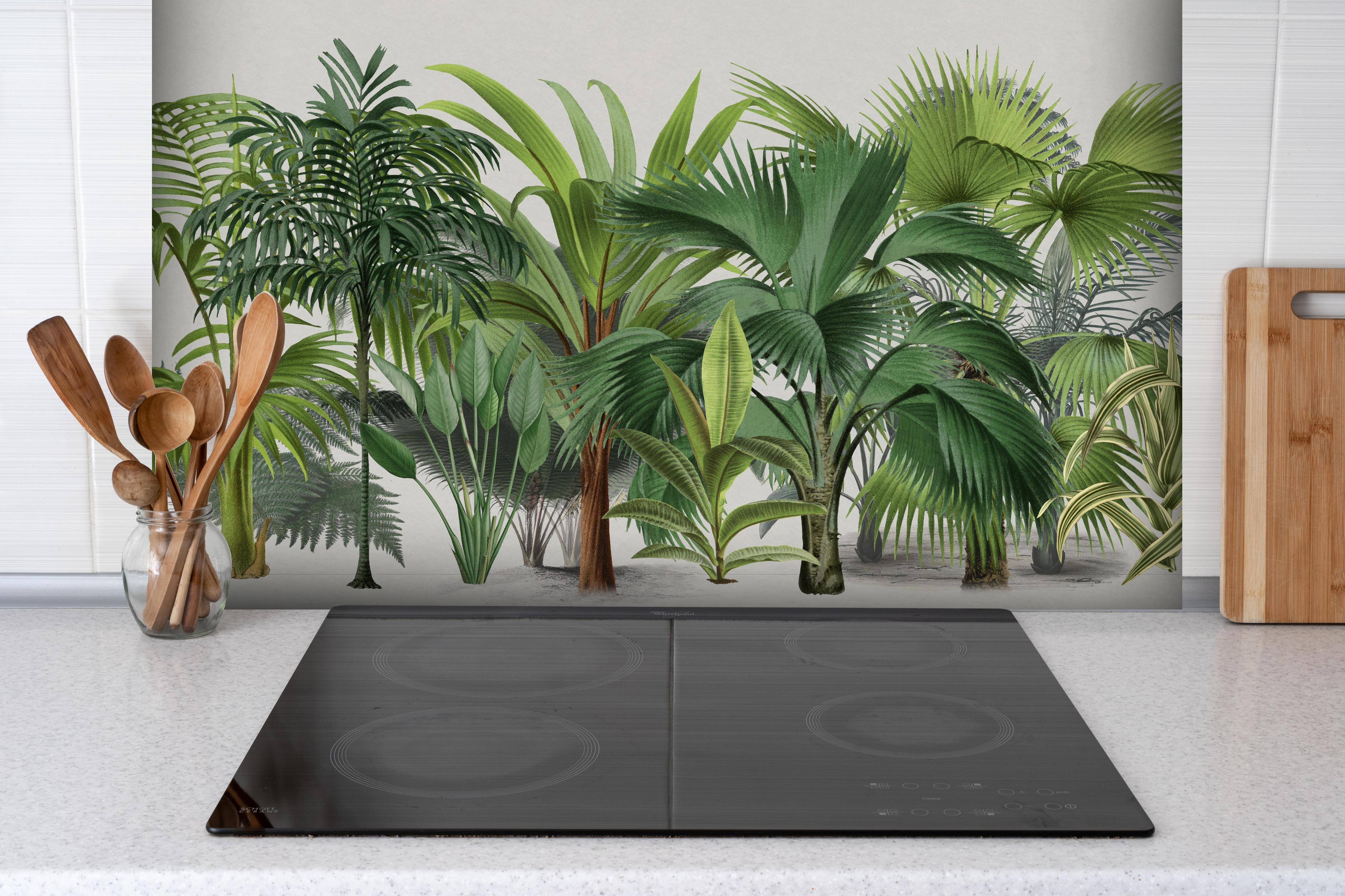 Spritzschutz - Exotische Bäume hinter einem Cerankochfeld zwischen Holz-Kochutensilien