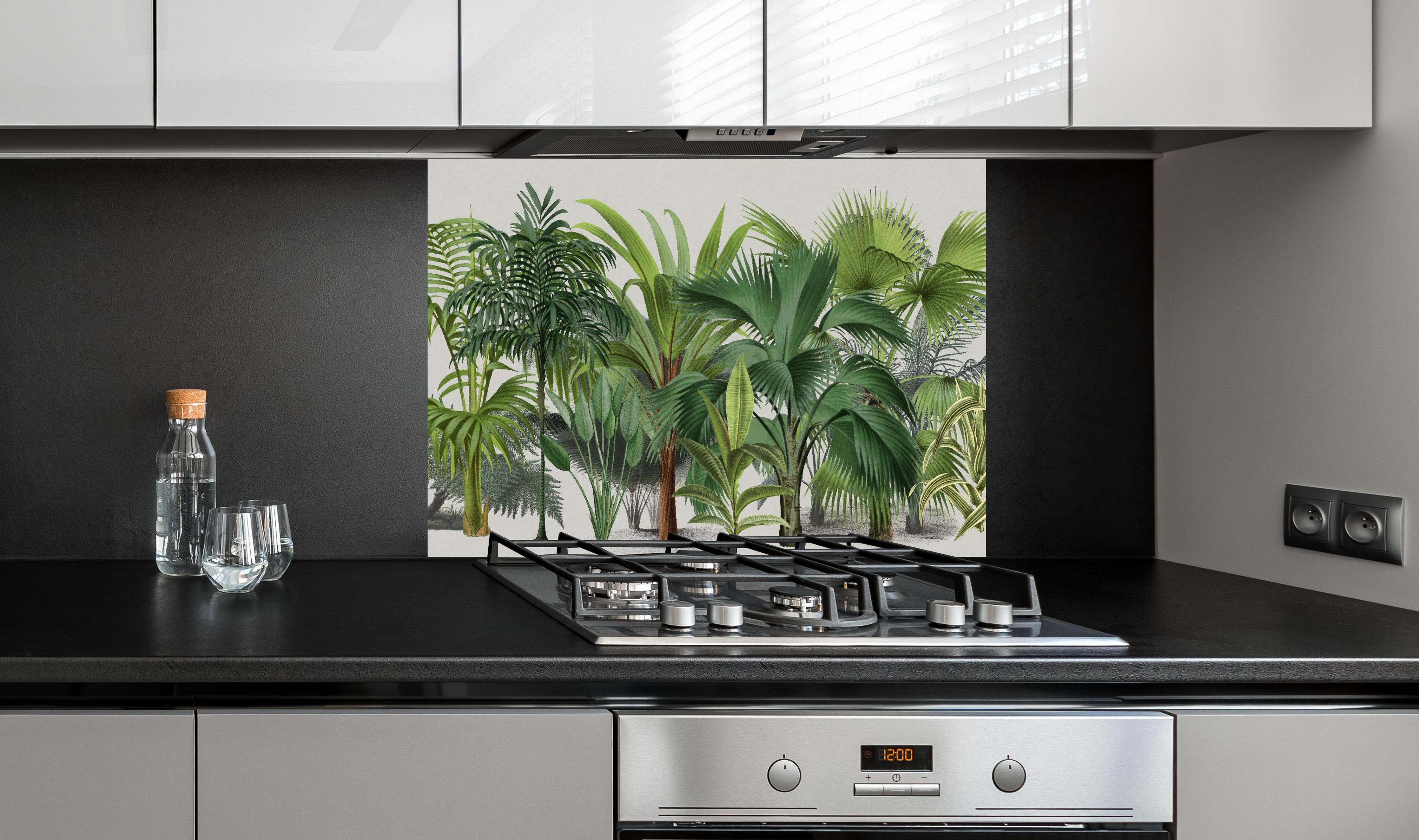 Spritzschutz - Exotische Bäume hinter einem Cerankochfeld zwischen Holz-Kochutensilien