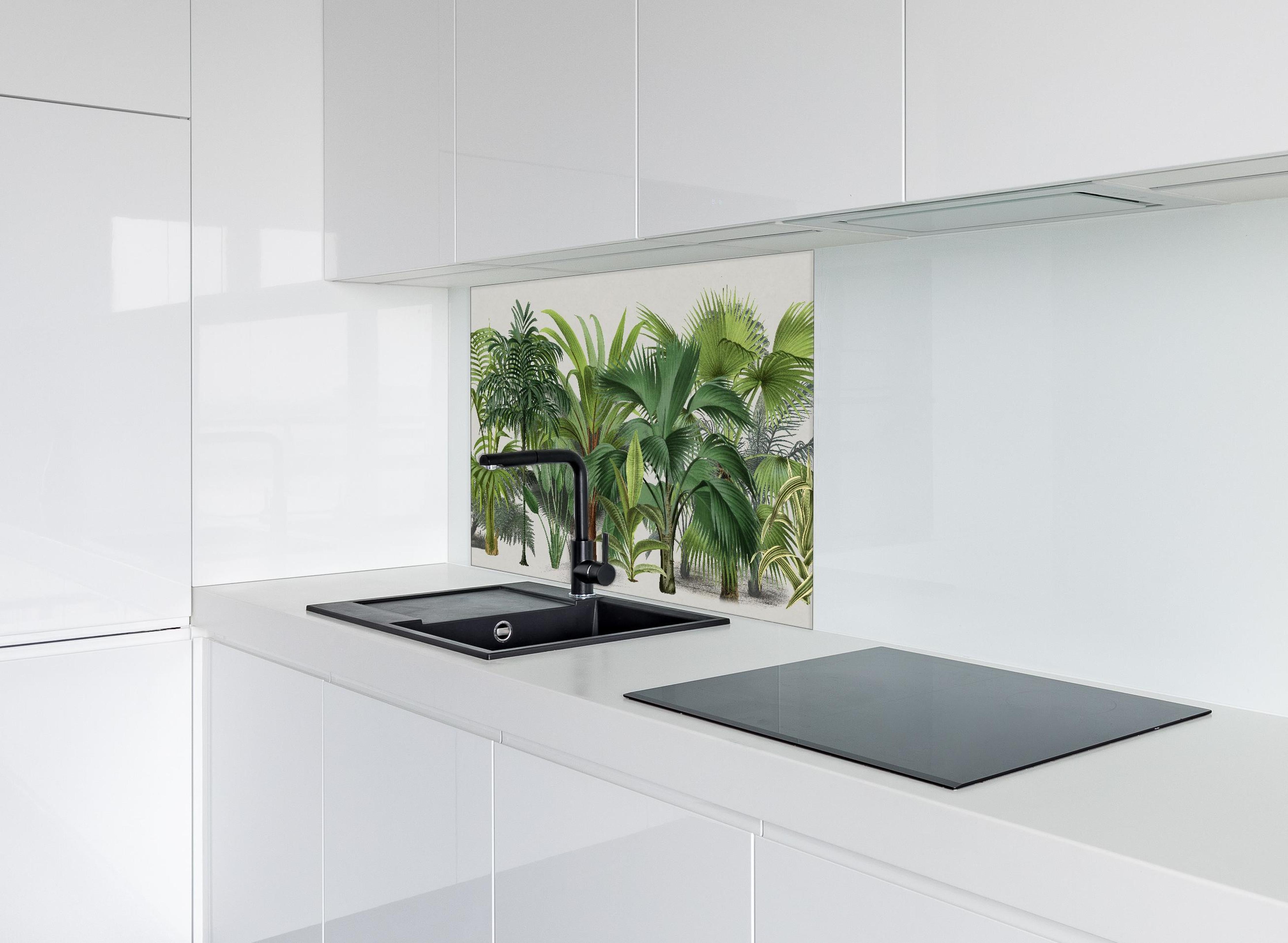 Spritzschutz - Exotische Bäume hinter einem Cerankochfeld zwischen Holz-Kochutensilien