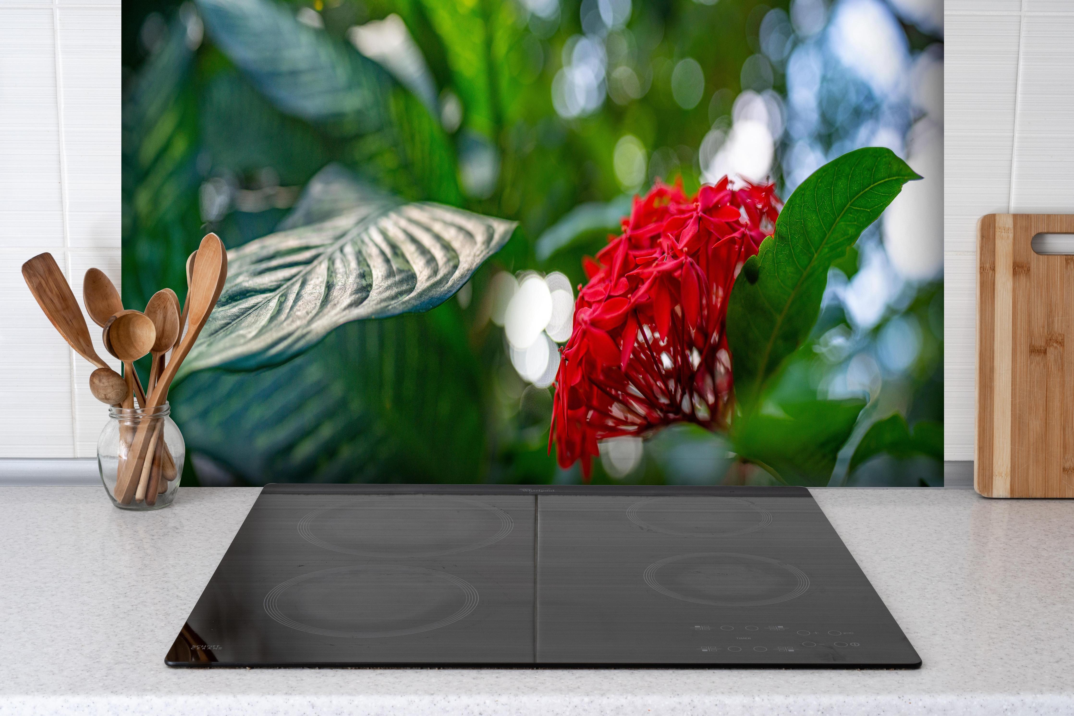 Spritzschutz - Exotische Blume und Blätter im Gewächshaus hinter einem Cerankochfeld zwischen Holz-Kochutensilien