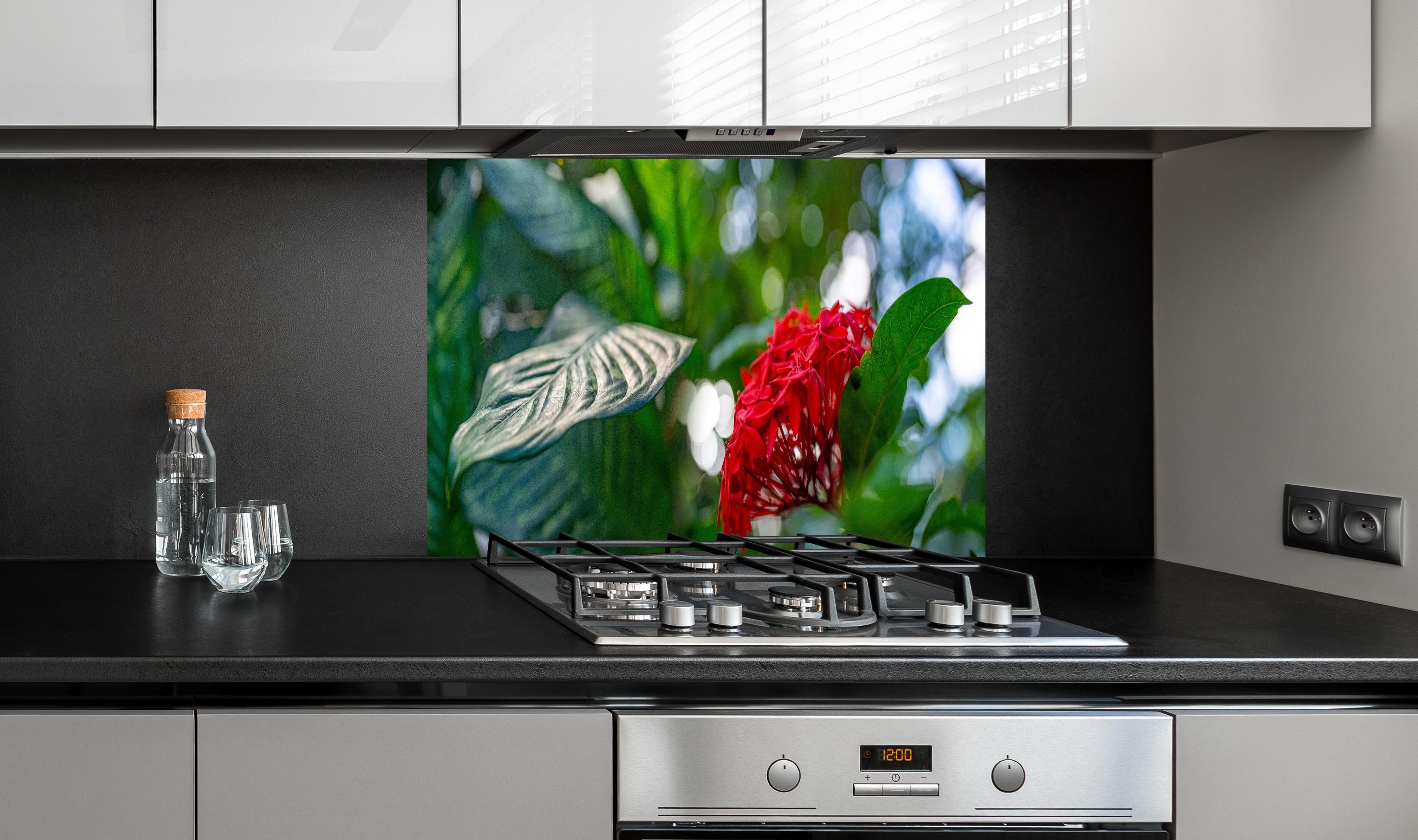 Spritzschutz - Exotische Blume und Blätter im Gewächshaus hinter einem Cerankochfeld zwischen Holz-Kochutensilien