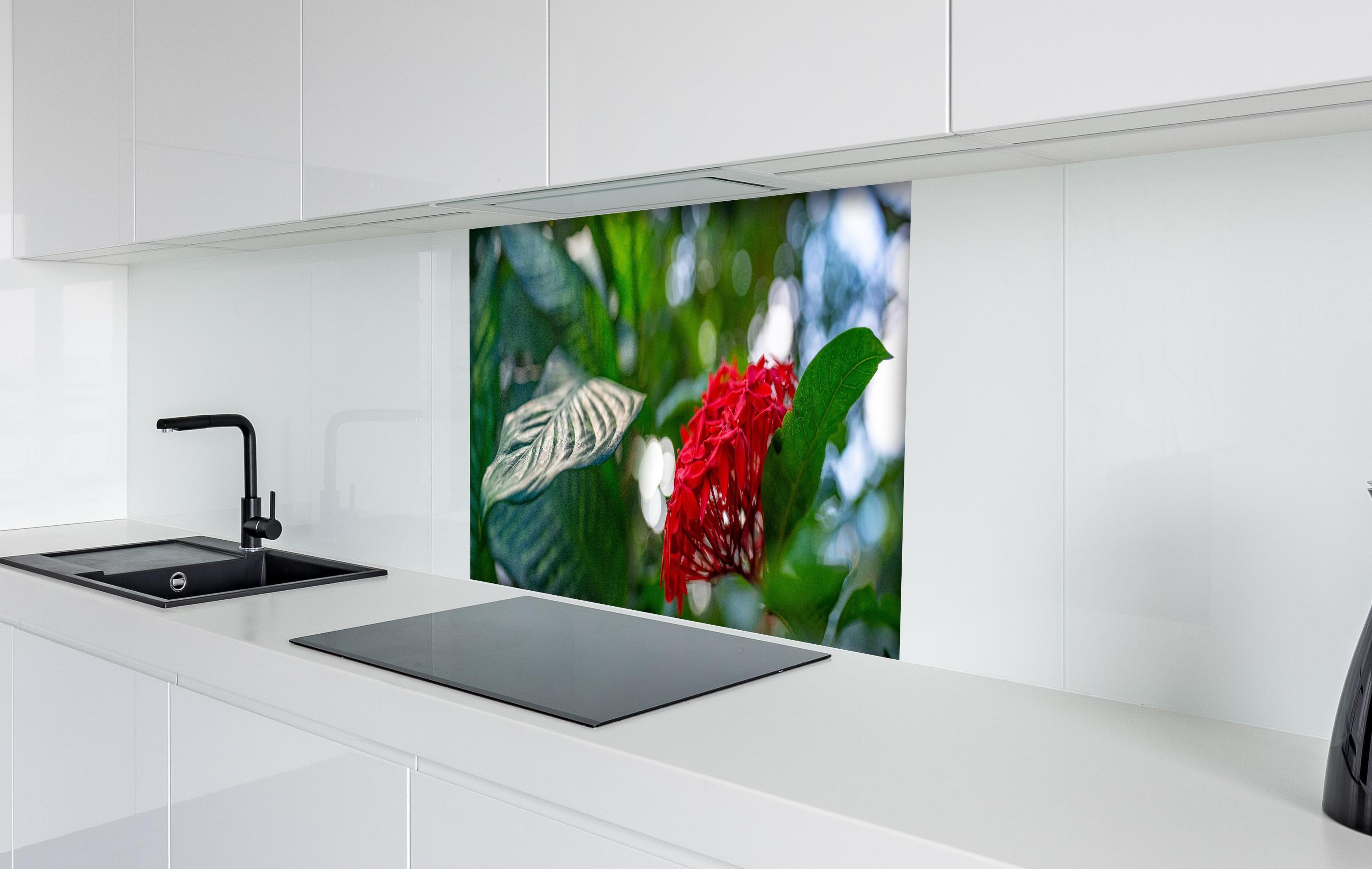 Spritzschutz - Exotische Blume und Blätter im Gewächshaus hinter einem Cerankochfeld zwischen Holz-Kochutensilien