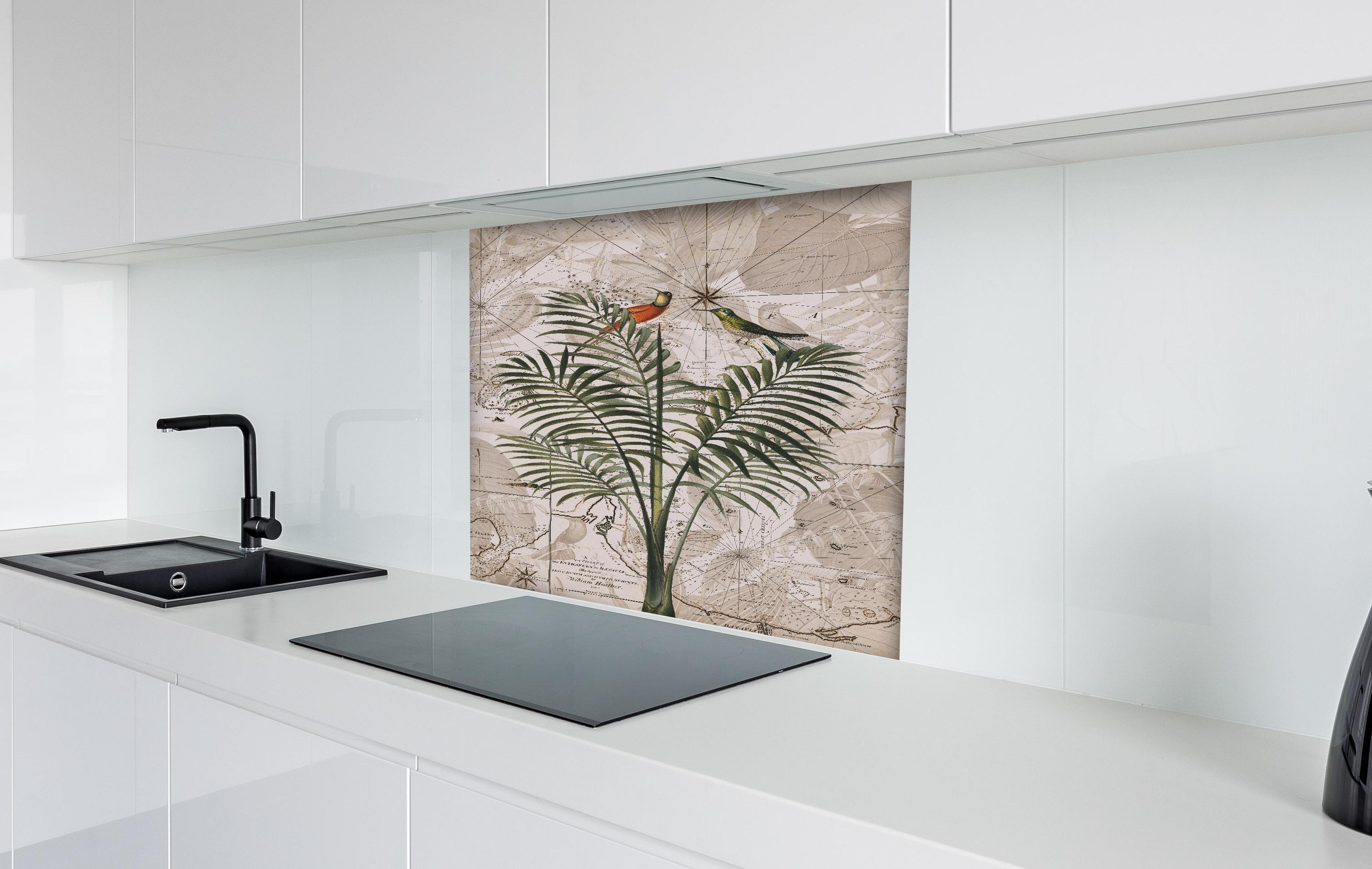 Spritzschutz - Exotische Dschungel Kartenillustration Wandkunst hinter einem Cerankochfeld zwischen Holz-Kochutensilien
