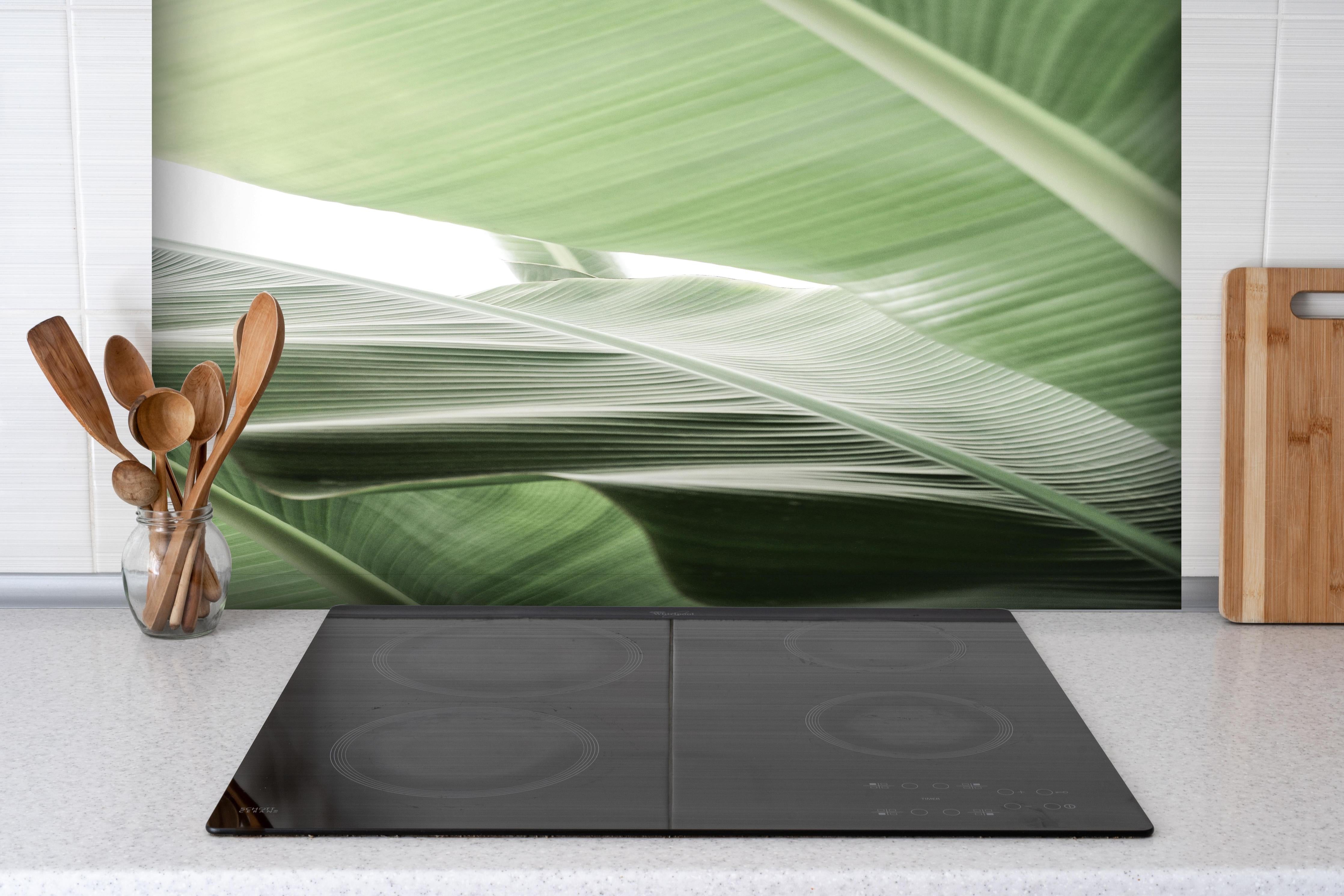 Spritzschutz - Exotische Grüne Palmenblatt-Textur Makro hinter einem Cerankochfeld zwischen Holz-Kochutensilien