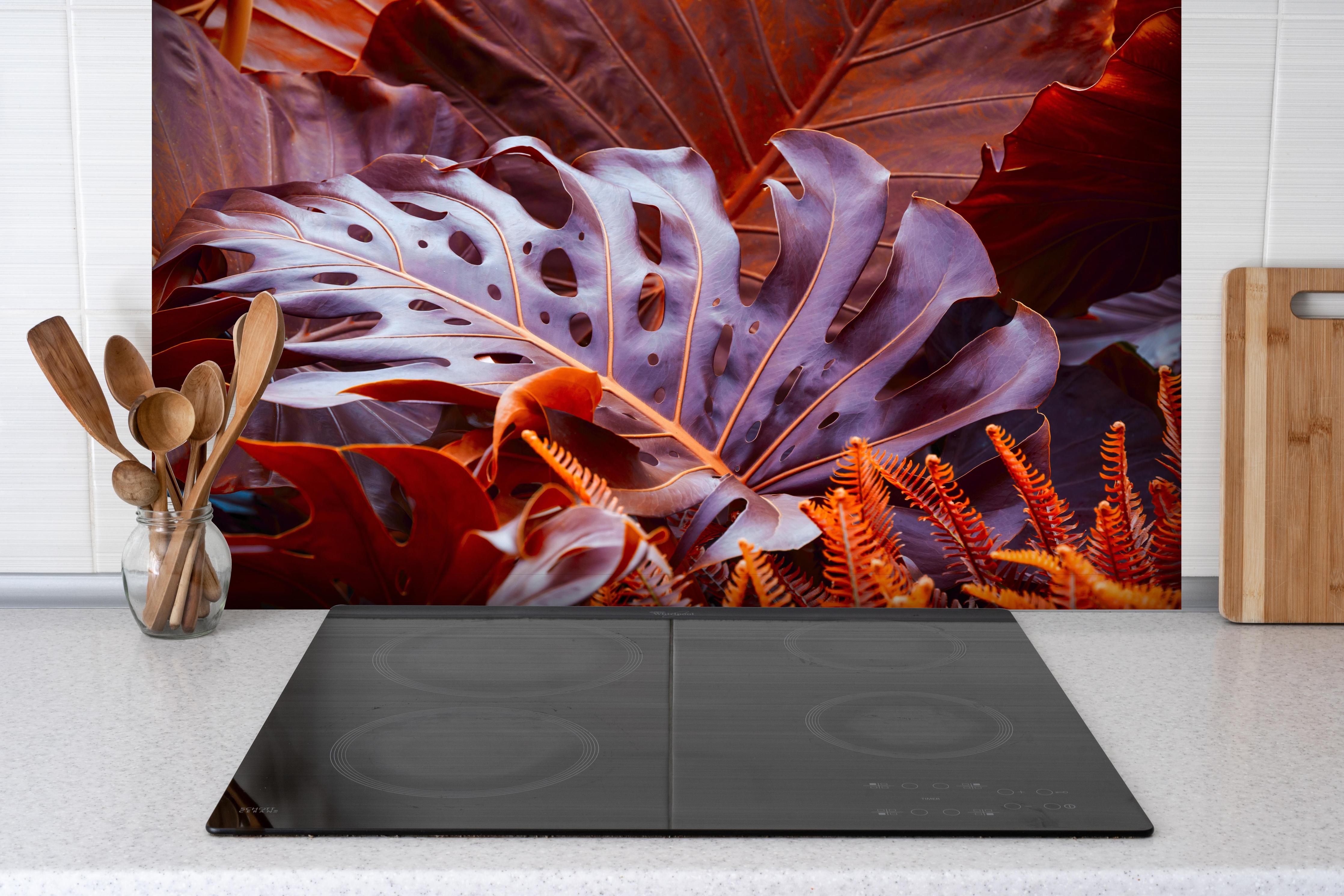 Spritzschutz - Exotische Pflanze im Detail hinter einem Cerankochfeld zwischen Holz-Kochutensilien