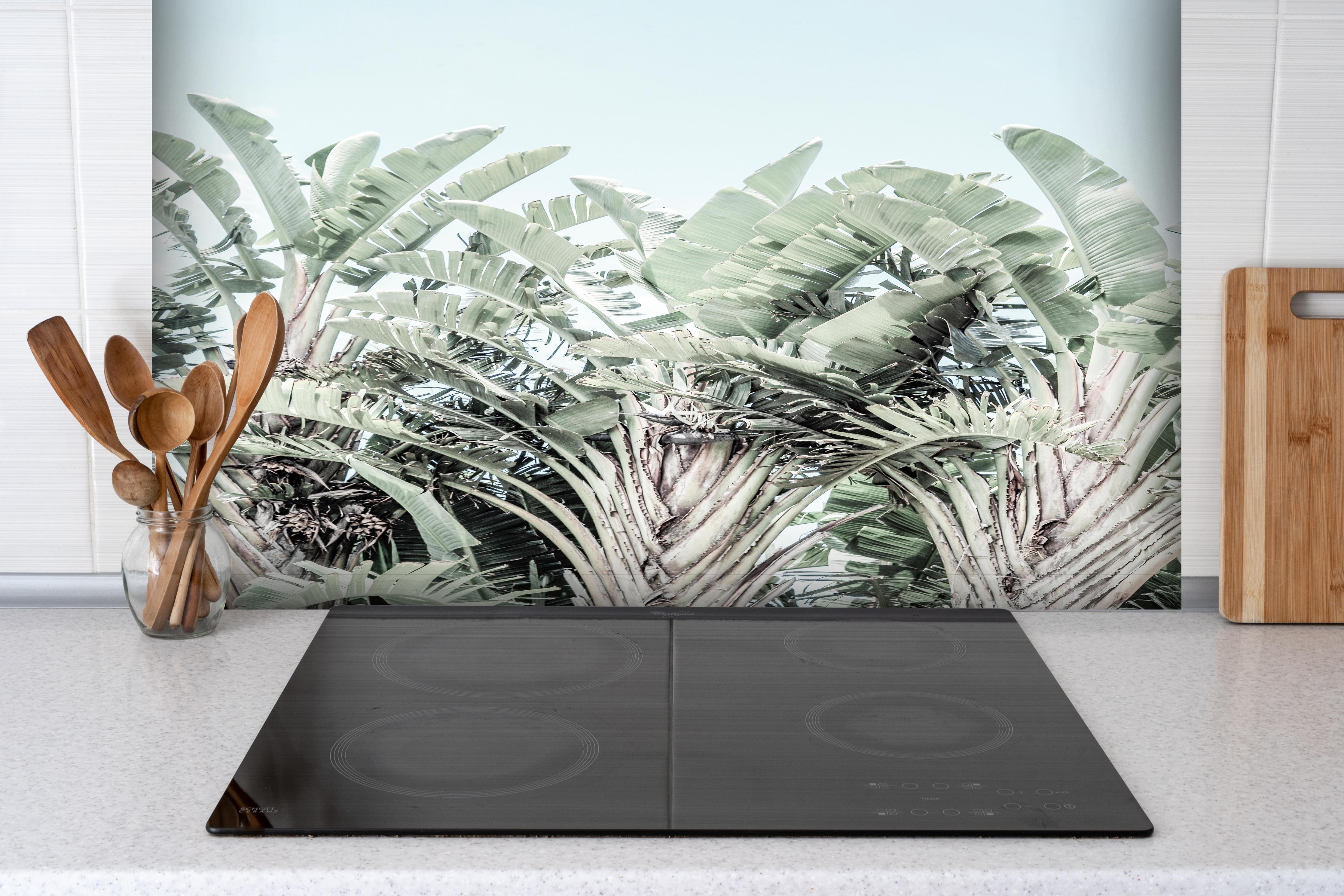 Spritzschutz - Exotische grün-weiße Palmenblätter hinter einem Cerankochfeld zwischen Holz-Kochutensilien