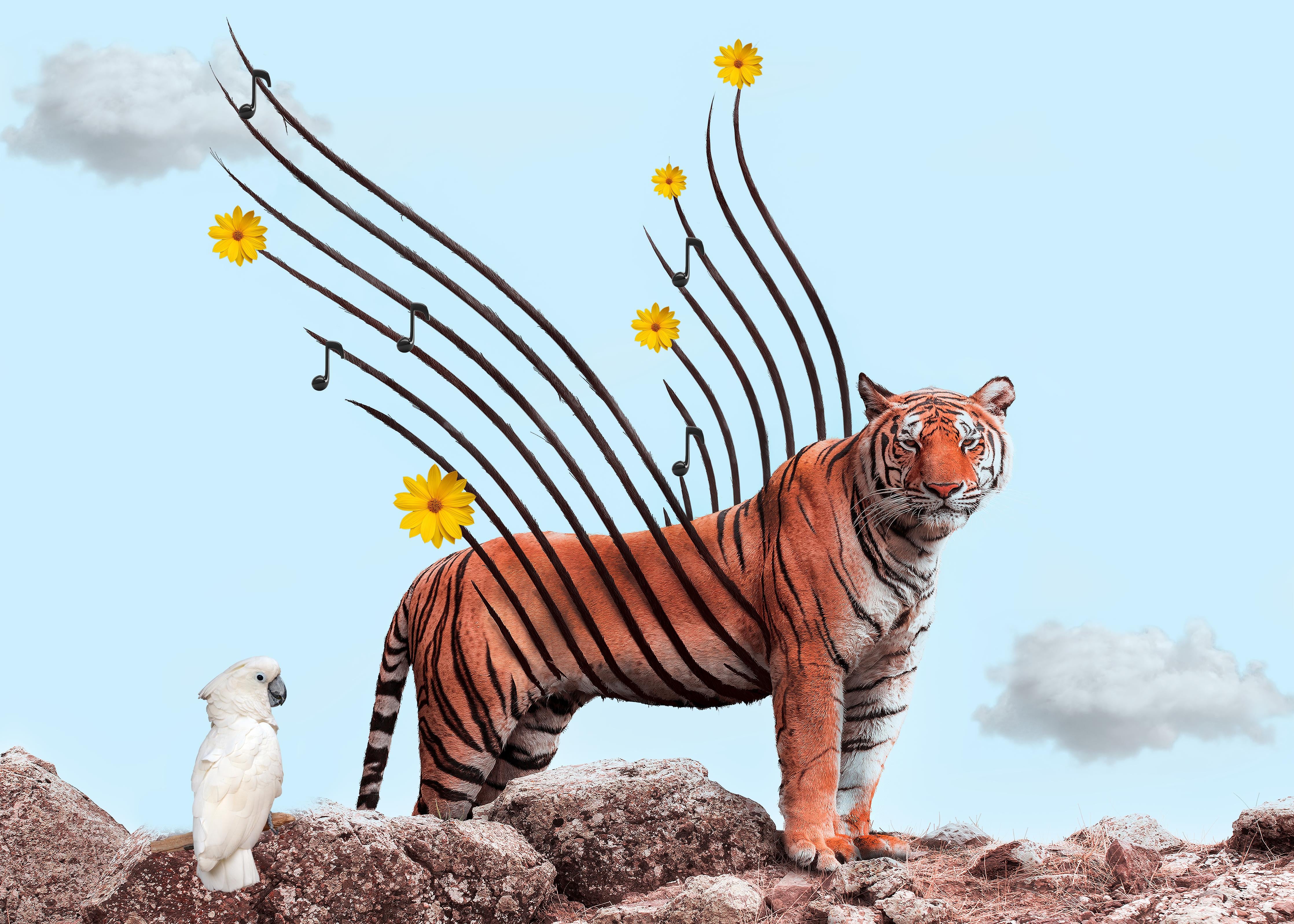 Spritzschutz-Exotischer Tiger - Grafik