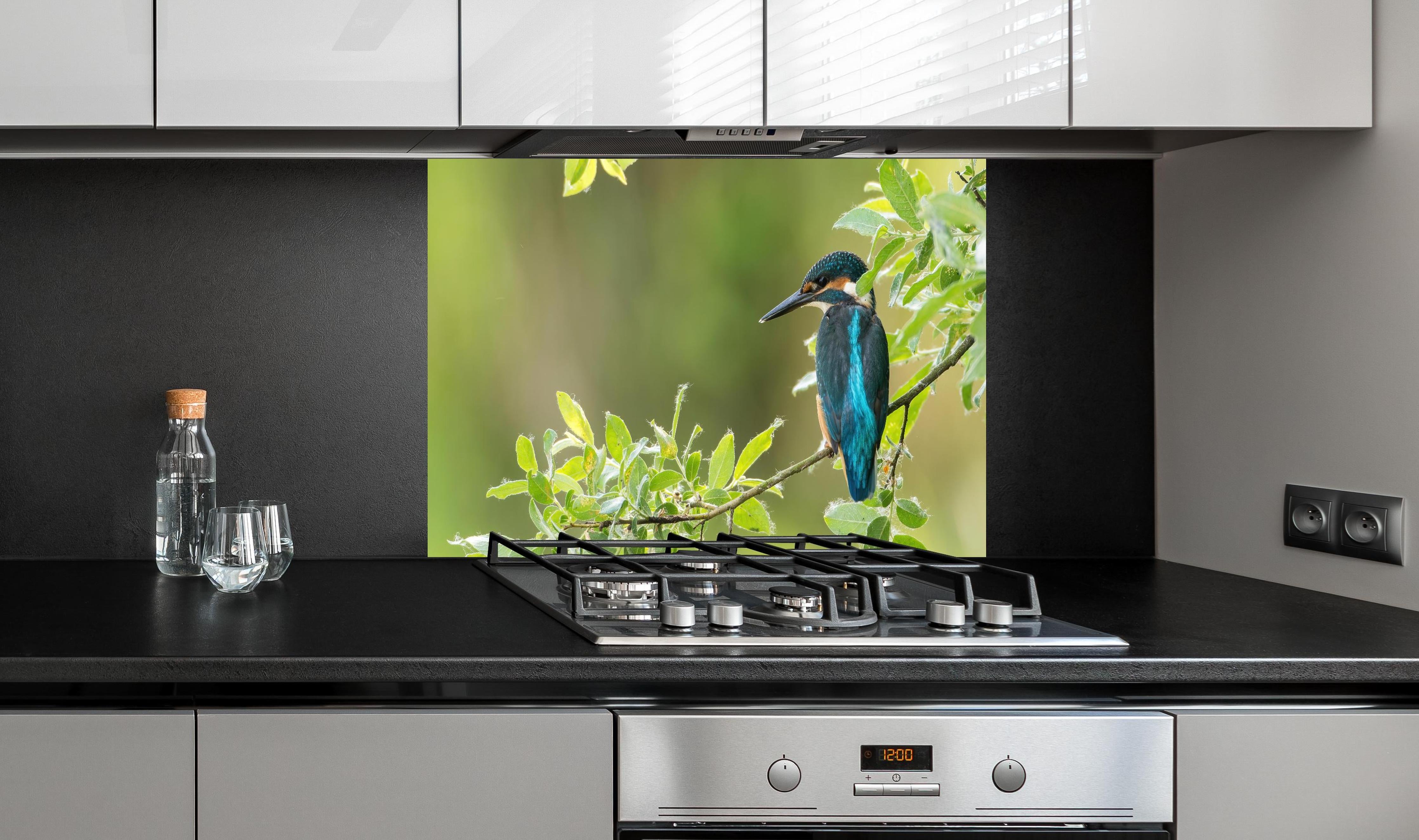 Spritzschutz - Exotischer friedlicher Eisvogel hinter einem Cerankochfeld zwischen Holz-Kochutensilien