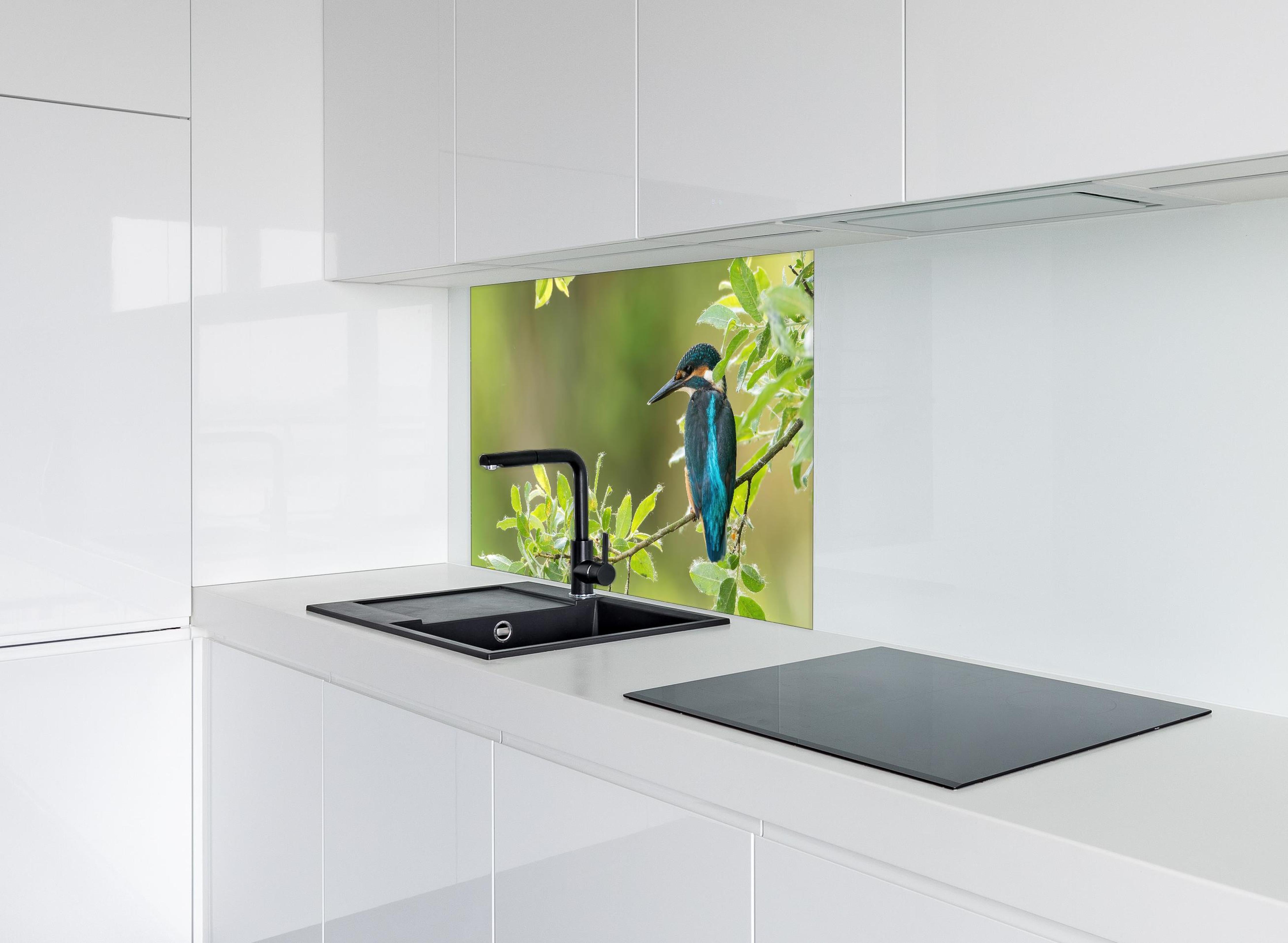 Spritzschutz - Exotischer friedlicher Eisvogel hinter einem Cerankochfeld zwischen Holz-Kochutensilien