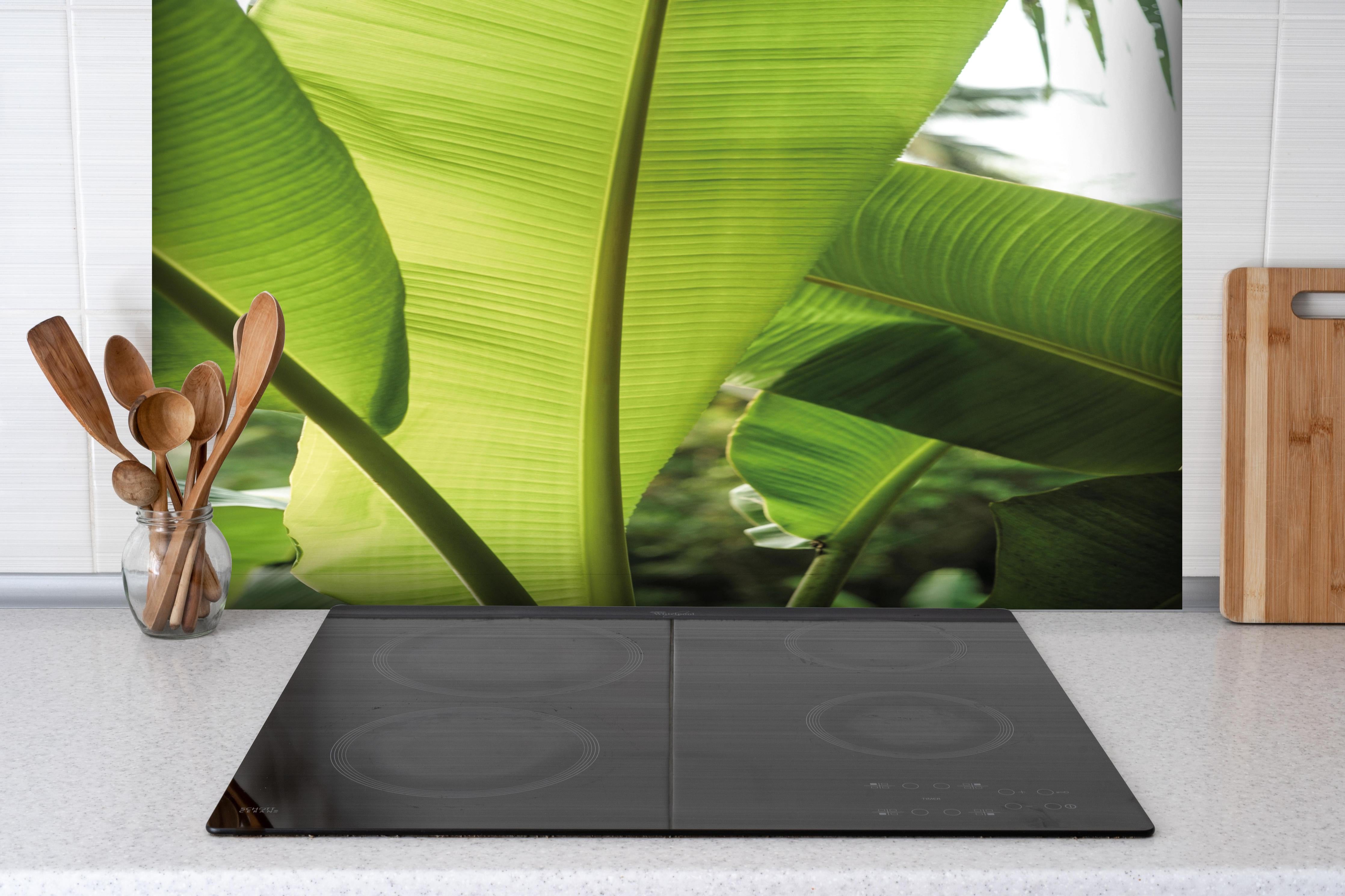Spritzschutz - Exotisches Grünes Tropenblatt Nahaufnahme hinter einem Cerankochfeld zwischen Holz-Kochutensilien