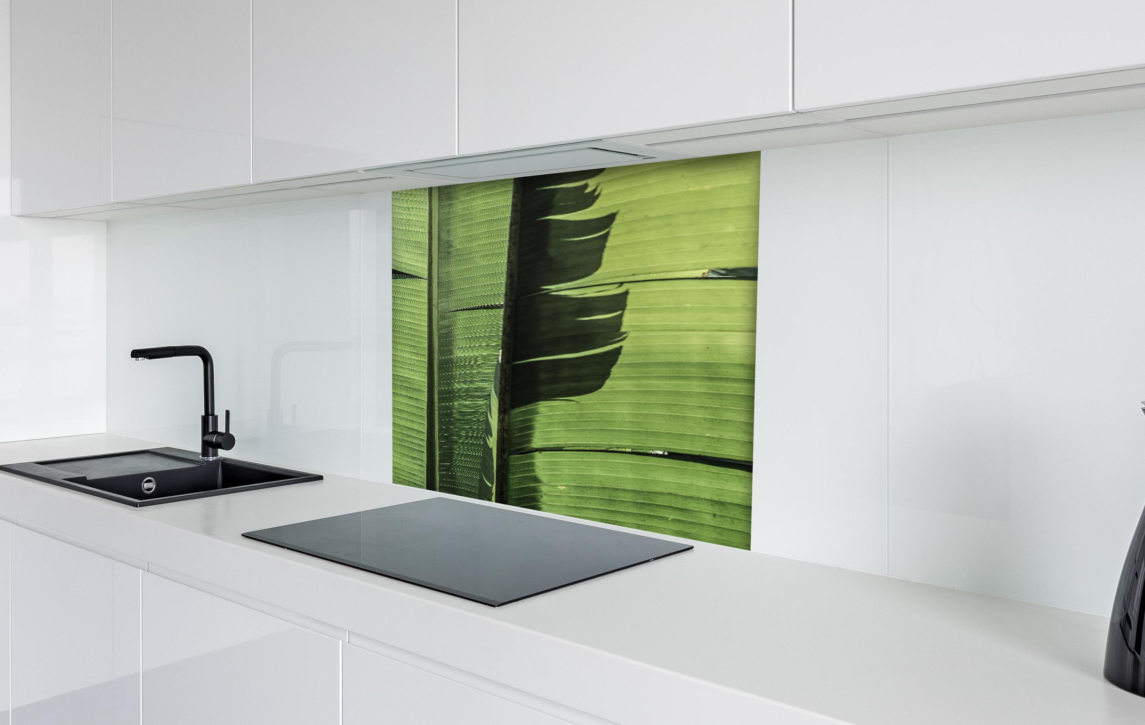 Spritzschutz - Exotisches grünes Palmenblatt-Design hinter einem Cerankochfeld zwischen Holz-Kochutensilien