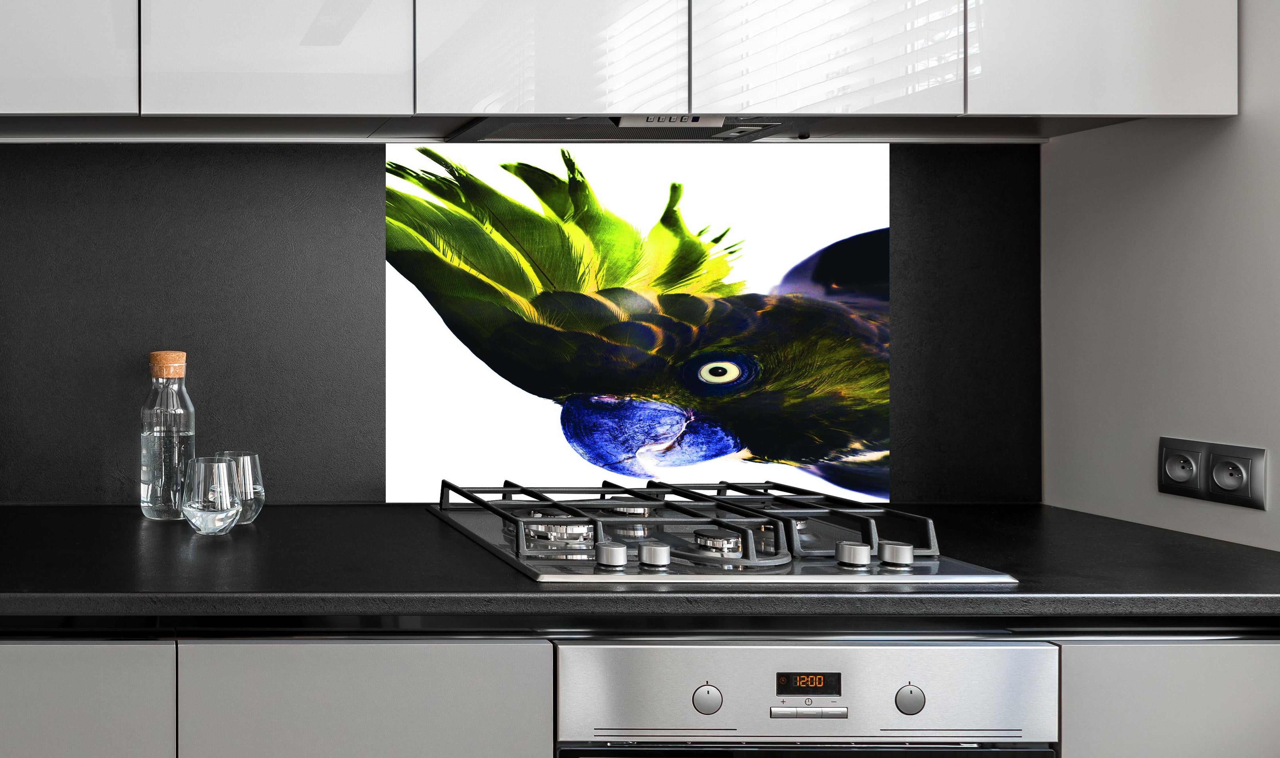 Spritzschutz - Farbenprächtiger Papagei vor Weiß hinter einem Cerankochfeld zwischen Holz-Kochutensilien