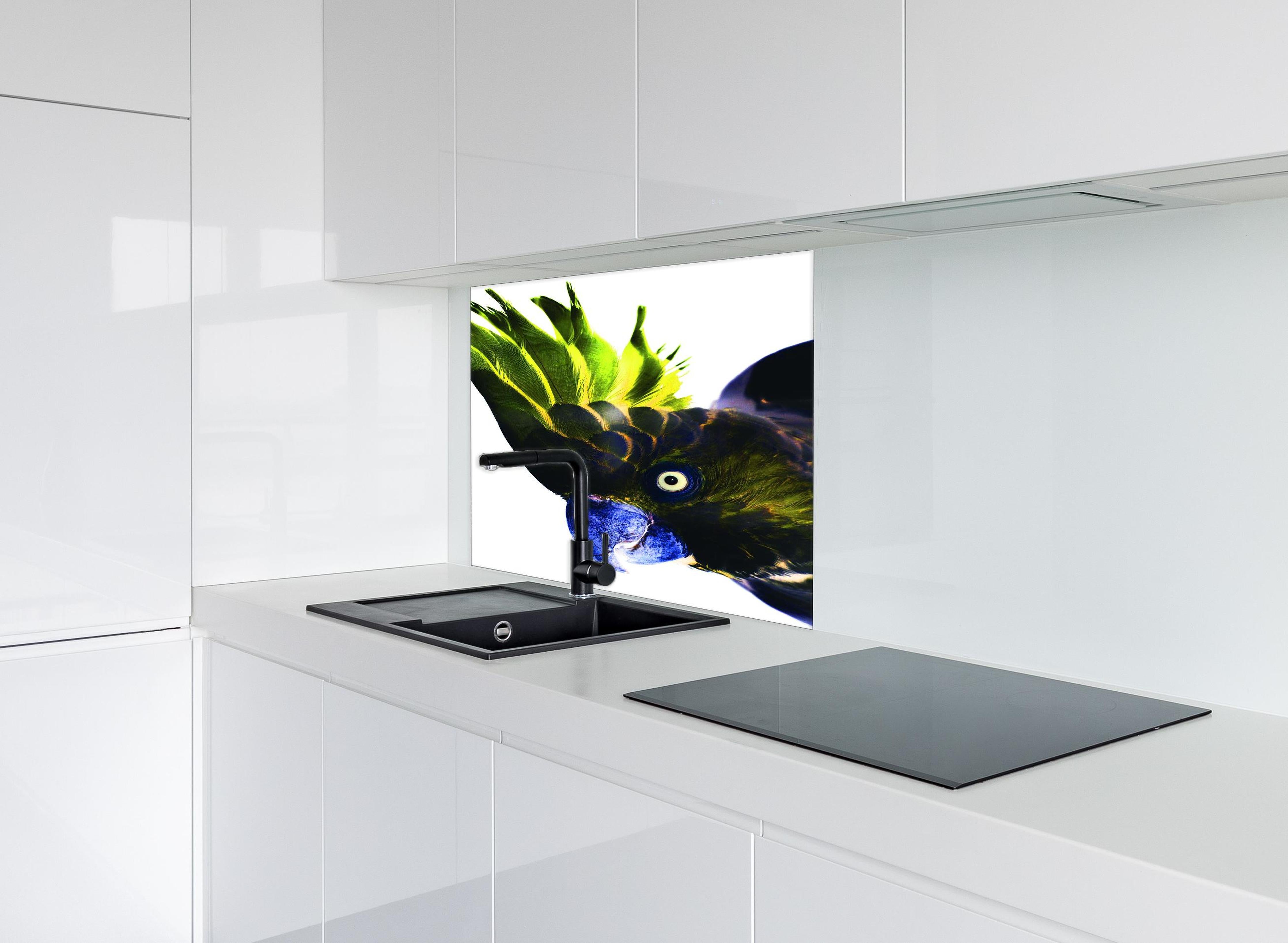 Spritzschutz - Farbenprächtiger Papagei vor Weiß hinter einem Cerankochfeld zwischen Holz-Kochutensilien