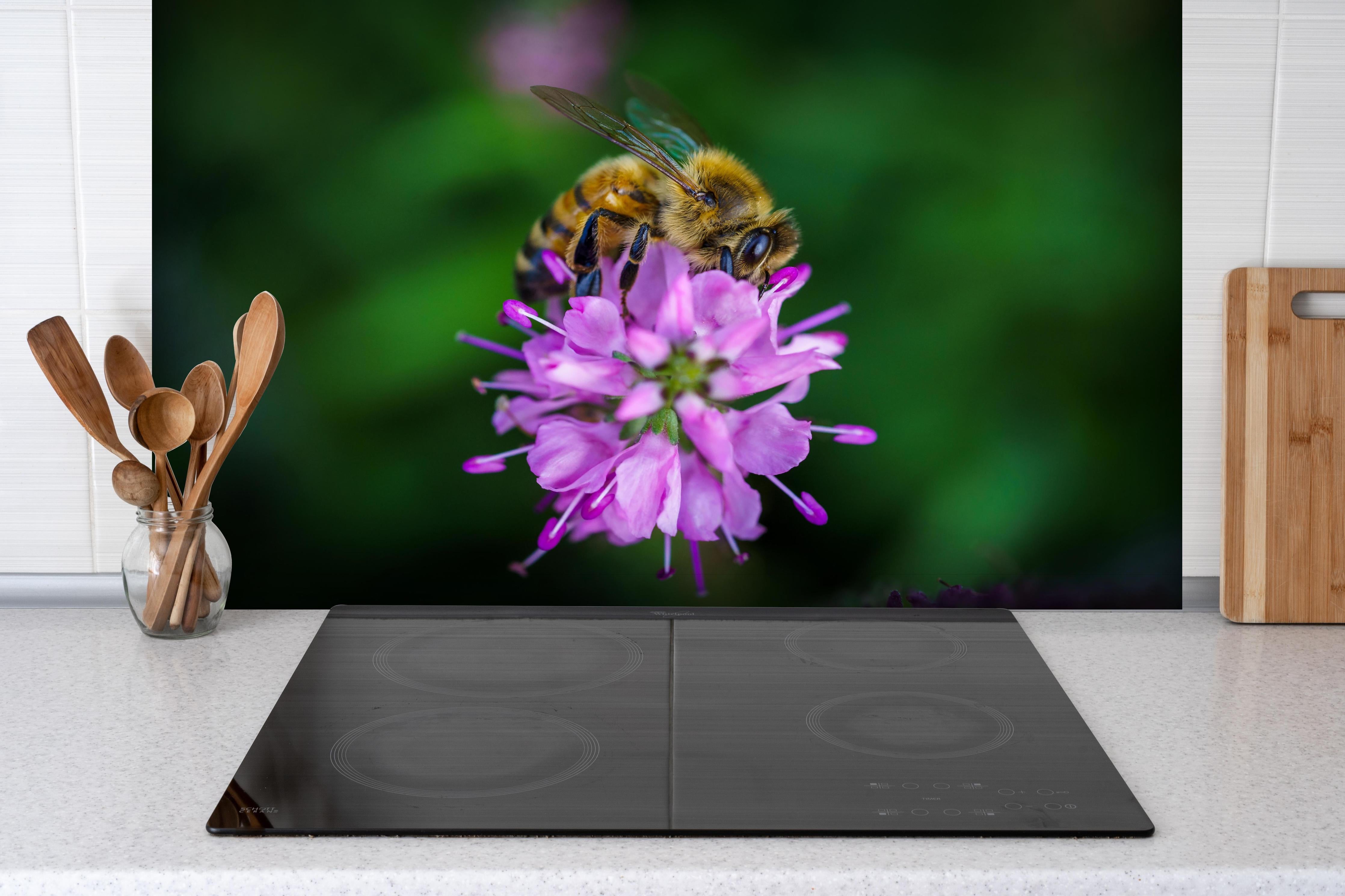 Spritzschutz - Faszinierende Biene auf lebendiger lila Blüte hinter einem Cerankochfeld zwischen Holz-Kochutensilien