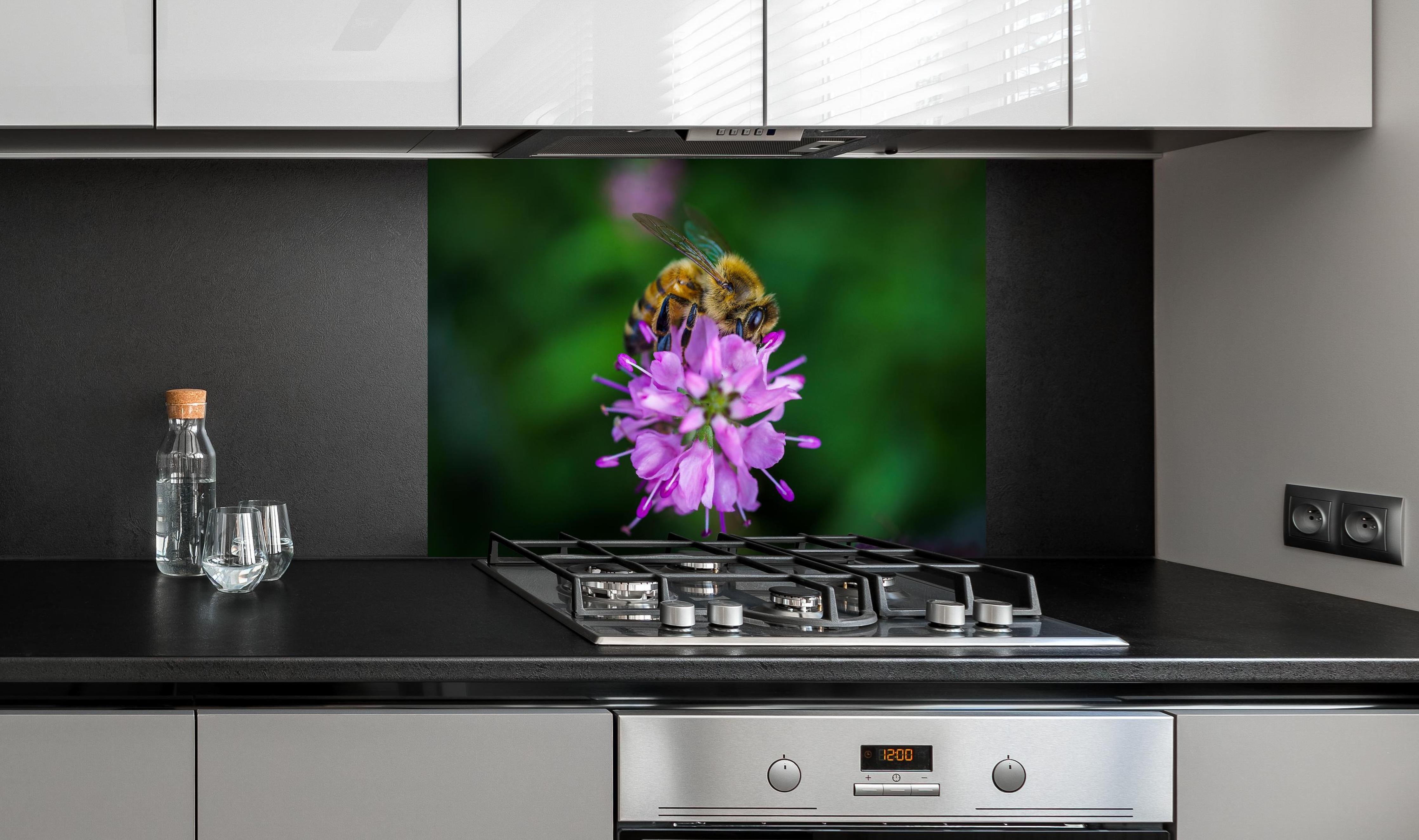 Spritzschutz - Faszinierende Biene auf lebendiger lila Blüte hinter einem Cerankochfeld zwischen Holz-Kochutensilien