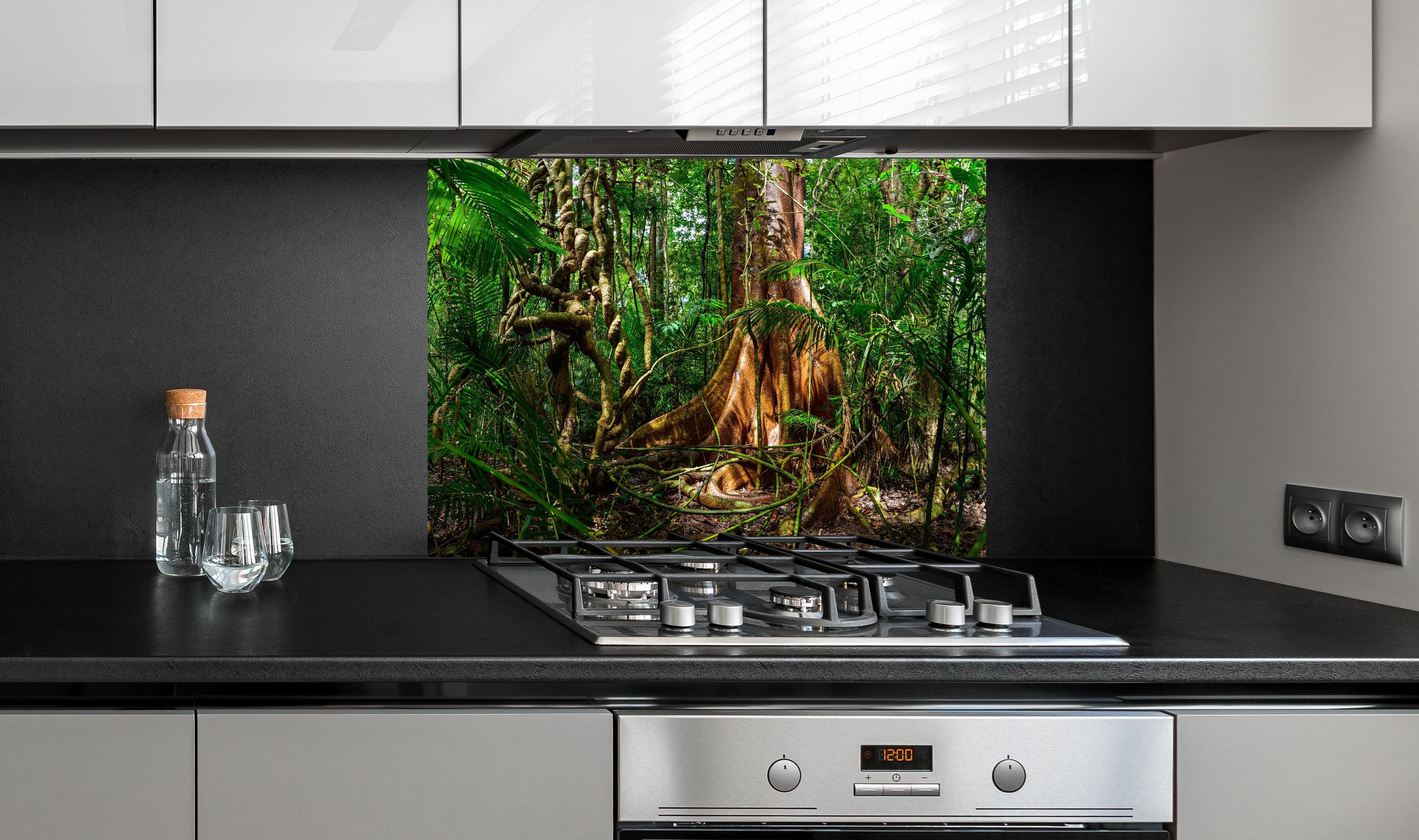 Spritzschutz - Feigenbaum hinter einem Cerankochfeld zwischen Holz-Kochutensilien