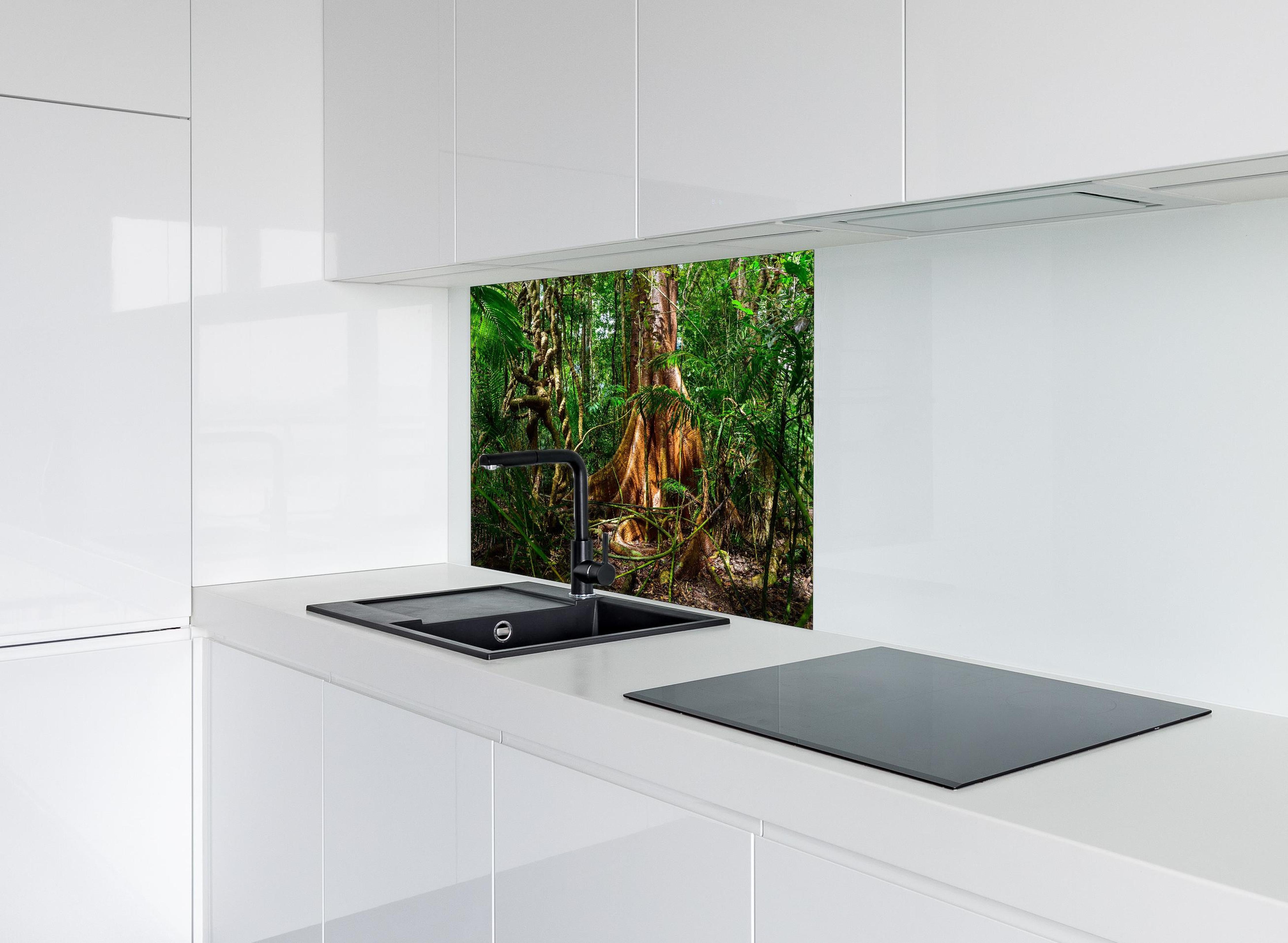 Spritzschutz - Feigenbaum hinter einem Cerankochfeld zwischen Holz-Kochutensilien