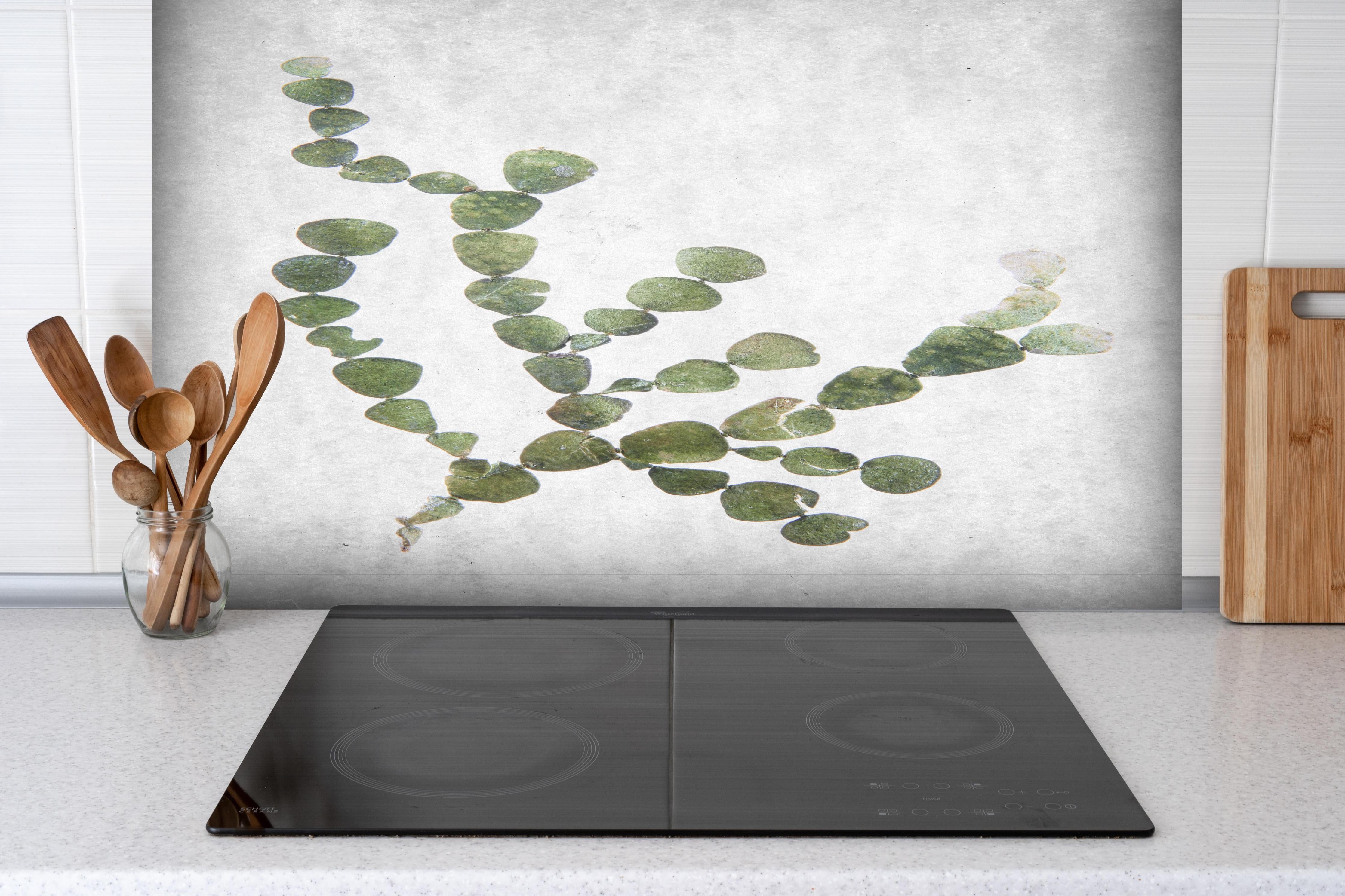 Spritzschutz - Feine grüne Blattstruktur gegen Weiß hinter einem Cerankochfeld zwischen Holz-Kochutensilien
