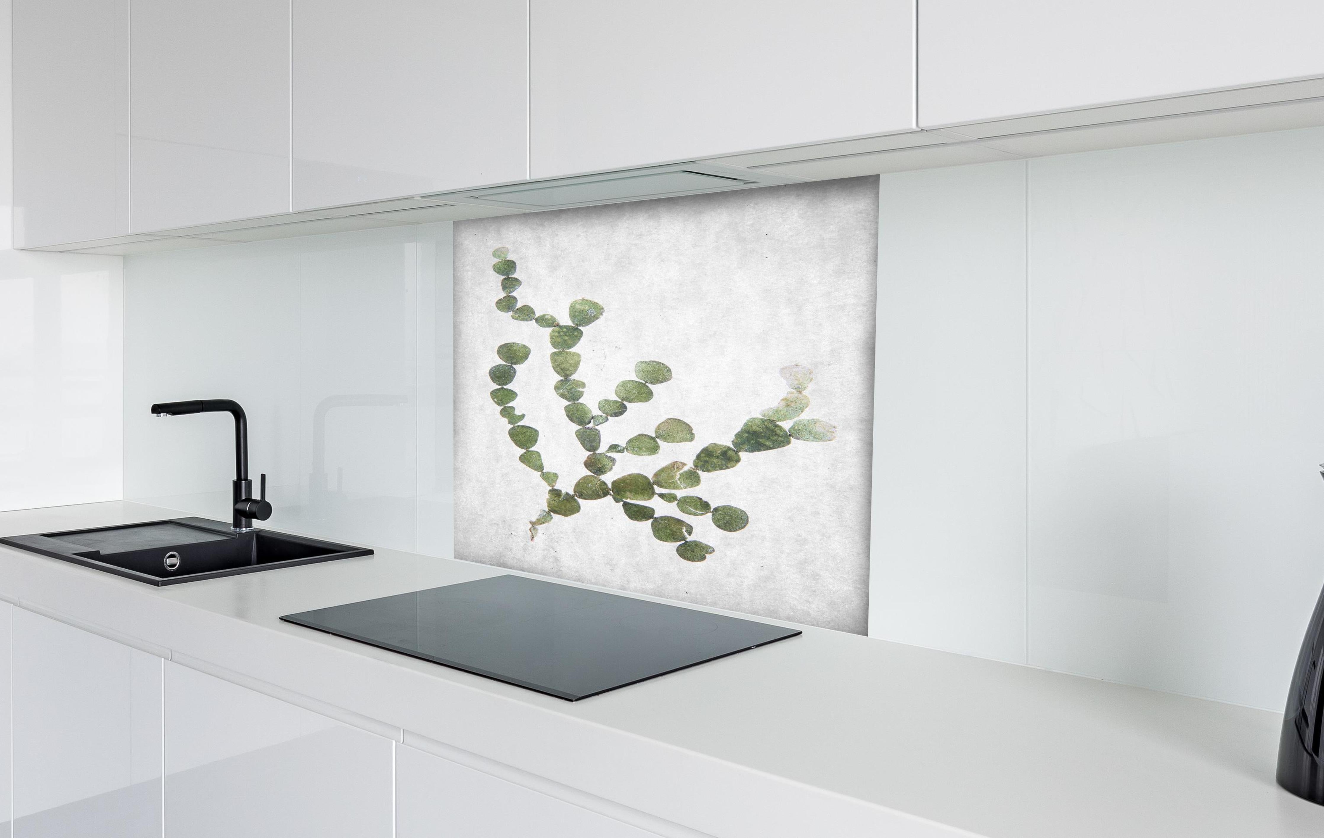 Spritzschutz - Feine grüne Blattstruktur gegen Weiß hinter einem Cerankochfeld zwischen Holz-Kochutensilien