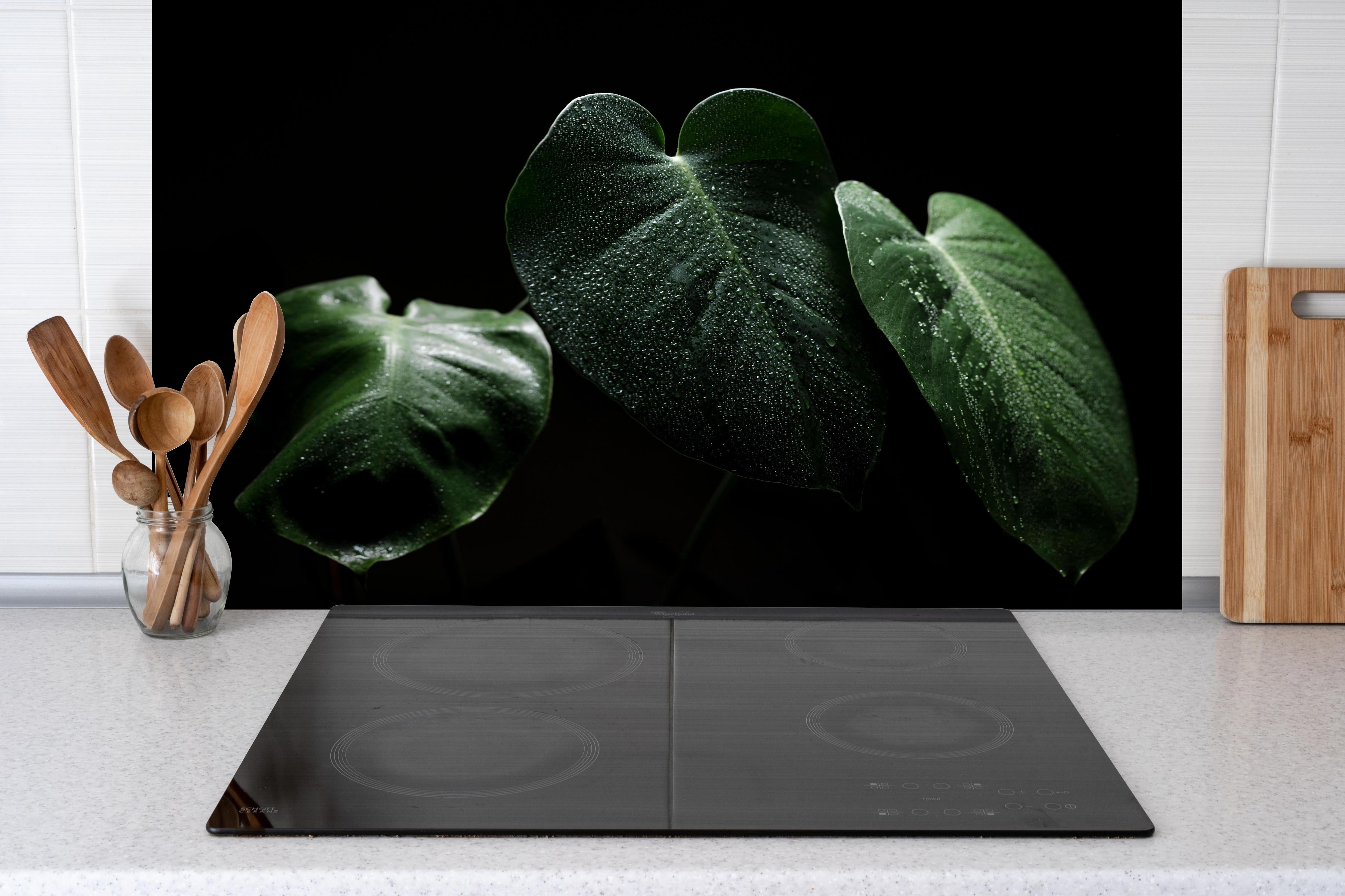 Spritzschutz - Feuchtes Blatt auf schwarzem Hintergrund hinter einem Cerankochfeld zwischen Holz-Kochutensilien