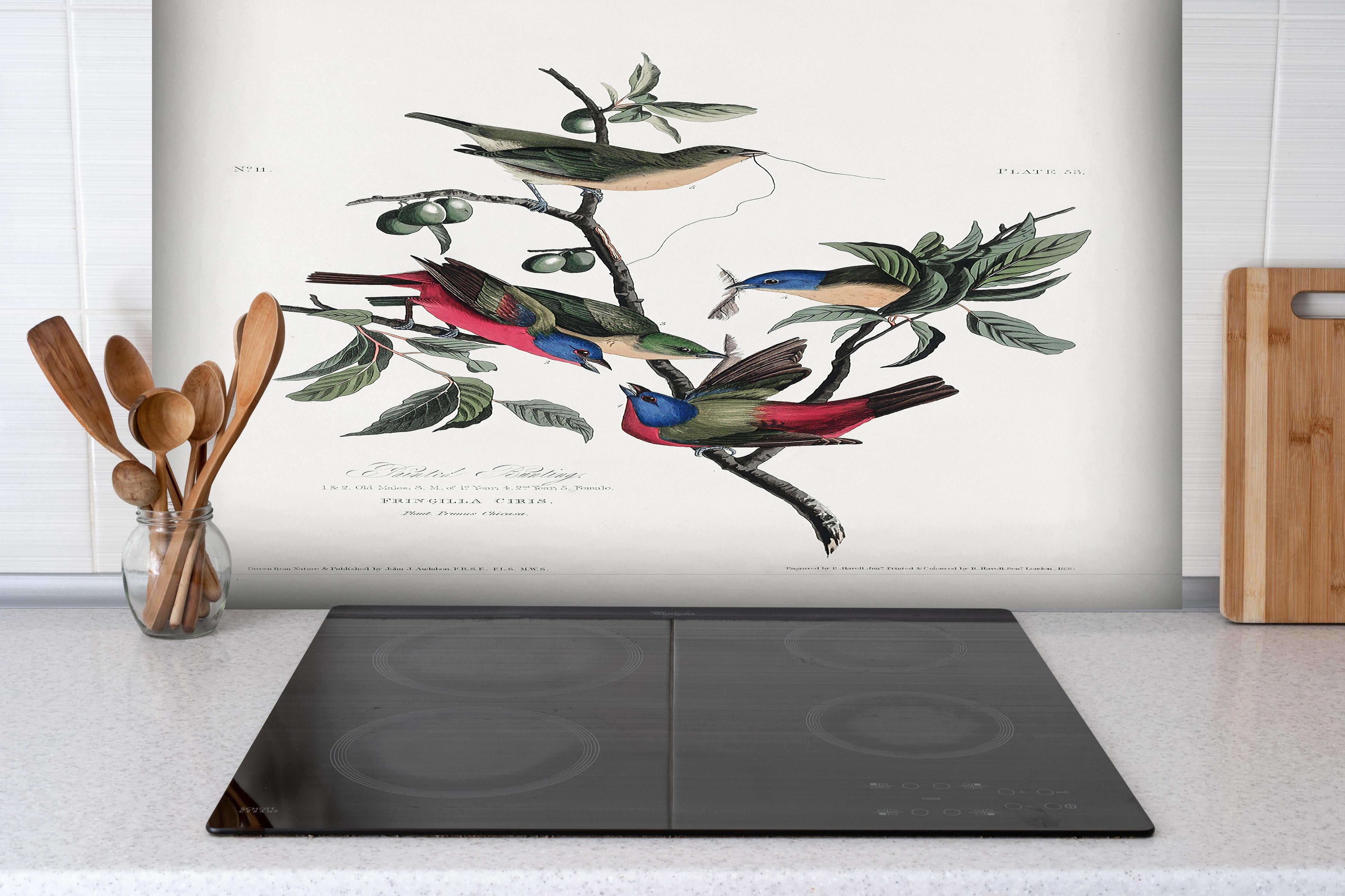Spritzschutz - Fink Portrait - John James Audubon hinter einem Cerankochfeld zwischen Holz-Kochutensilien