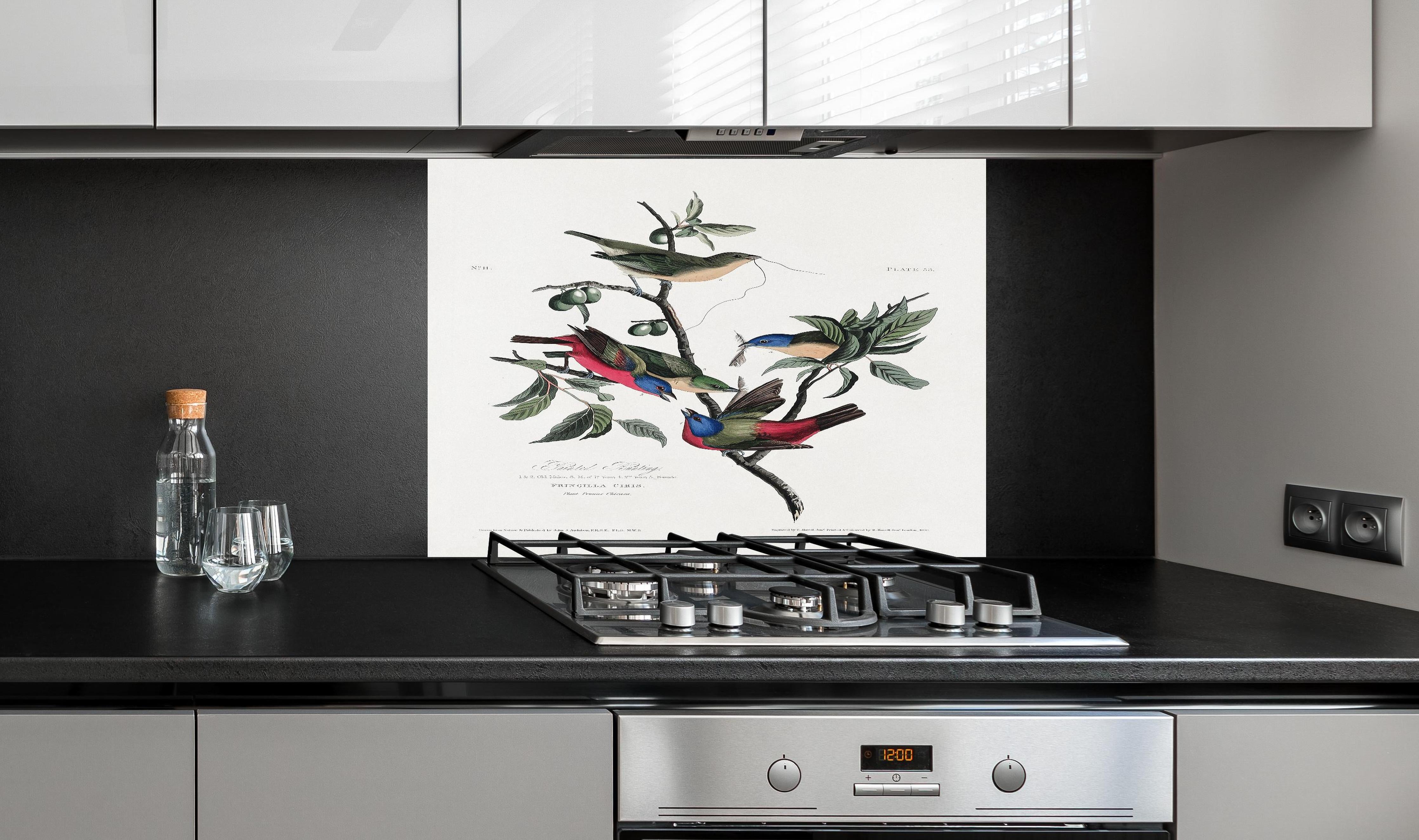 Spritzschutz - Fink Portrait - John James Audubon hinter einem Cerankochfeld zwischen Holz-Kochutensilien