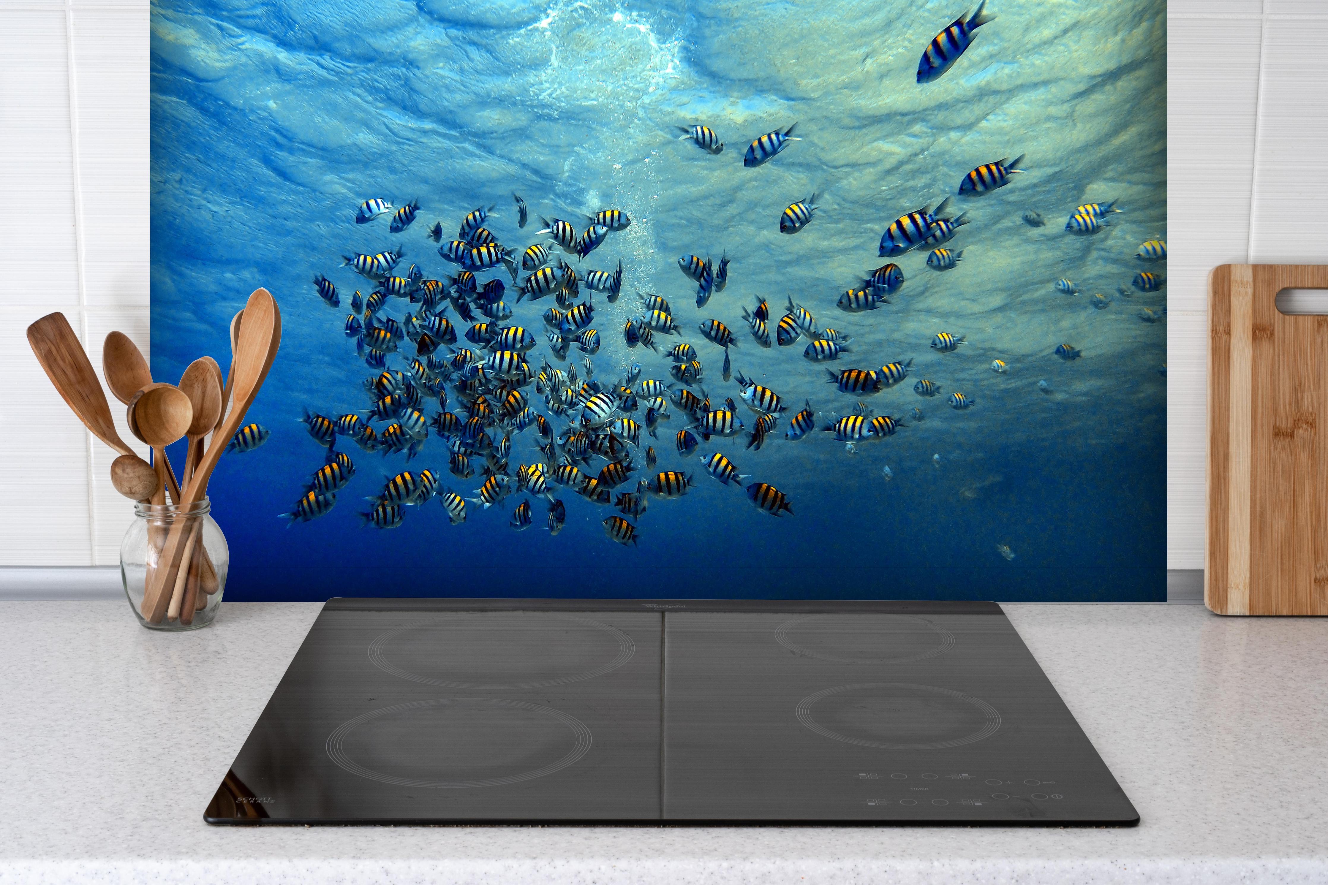 Spritzschutz - Fische im klarem Meer hinter einem Cerankochfeld zwischen Holz-Kochutensilien