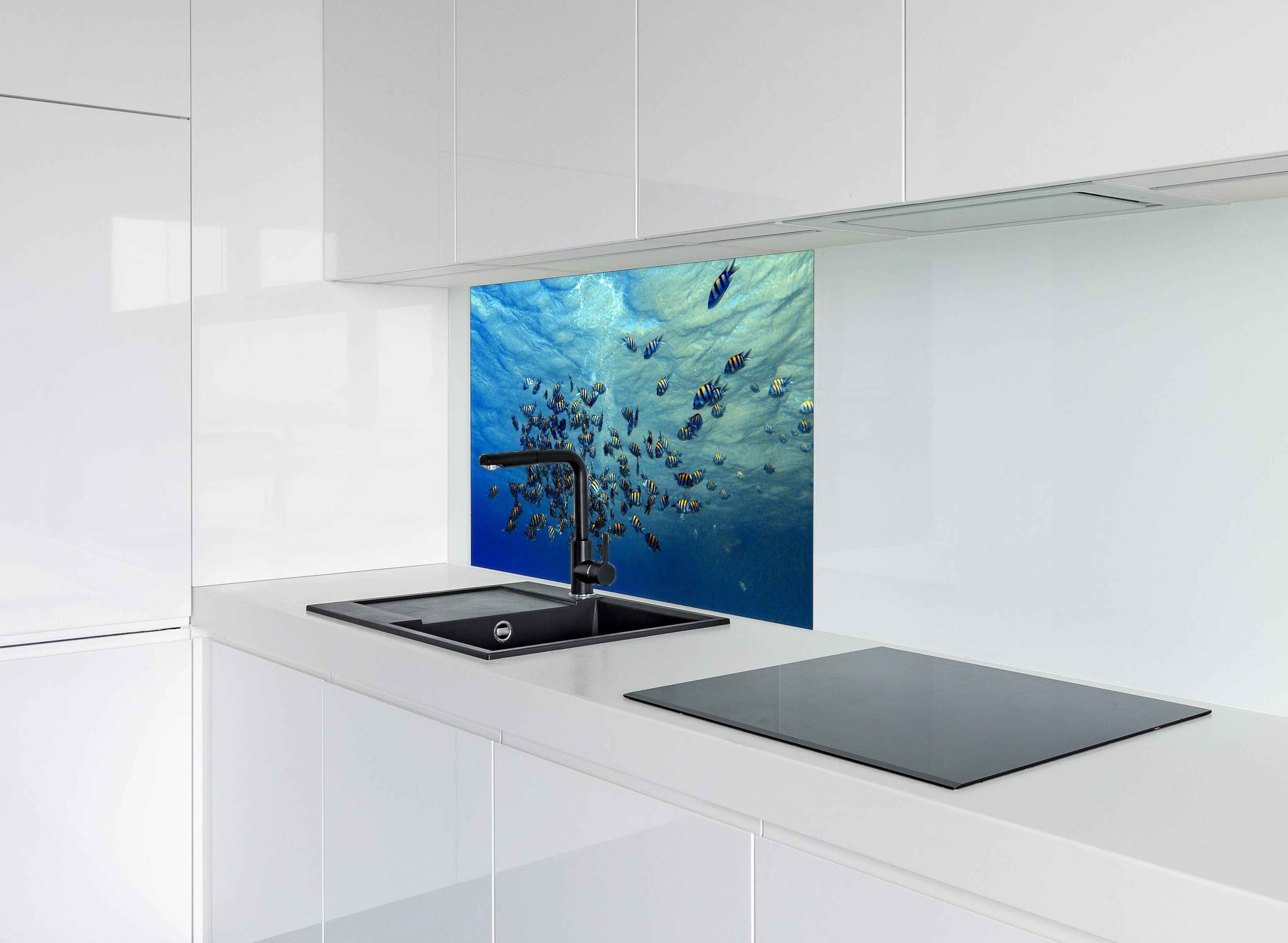 Spritzschutz - Fische im klarem Meer hinter einem Cerankochfeld zwischen Holz-Kochutensilien