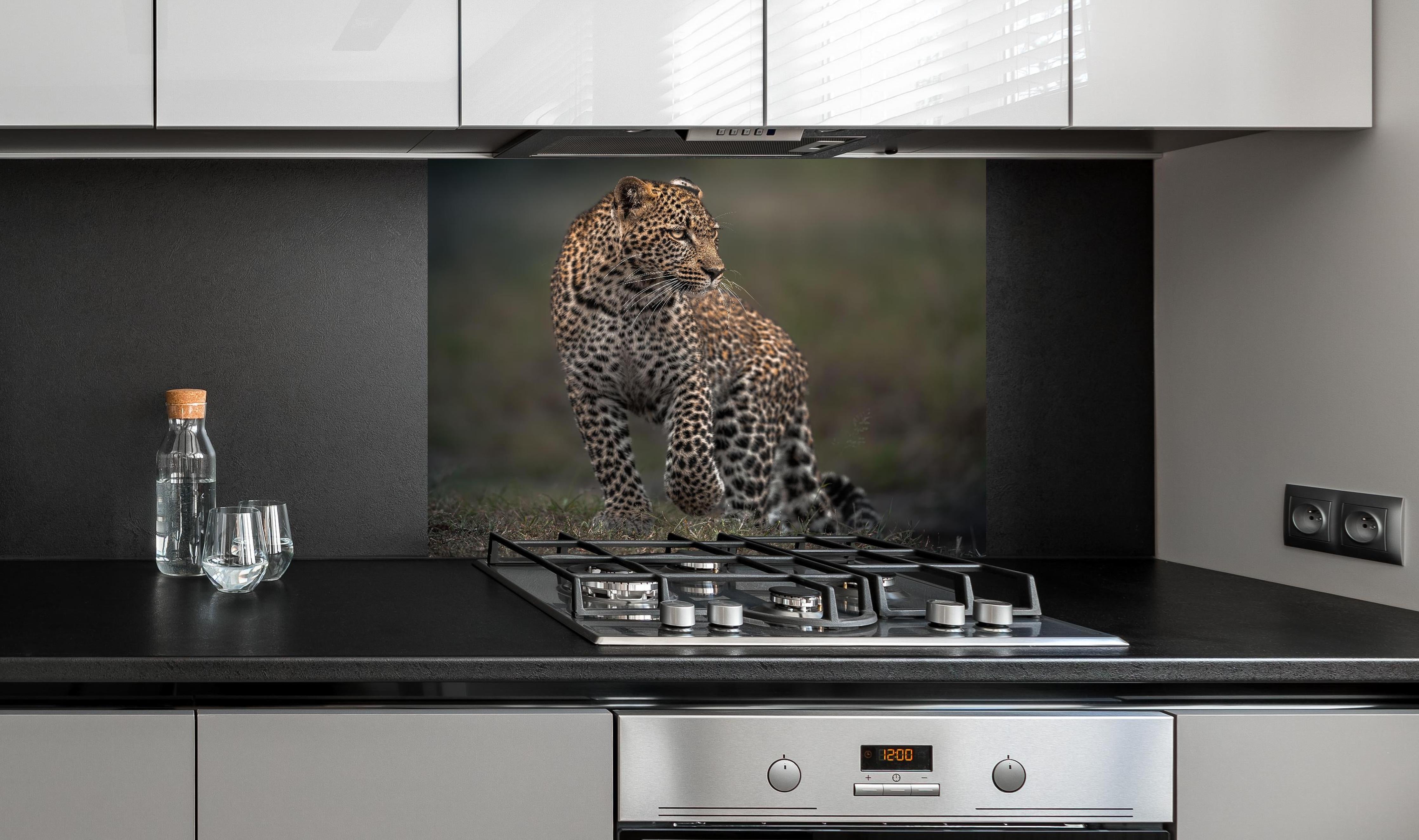 Spritzschutz - Fokussierter Leopard - Savanne hinter einem Cerankochfeld zwischen Holz-Kochutensilien