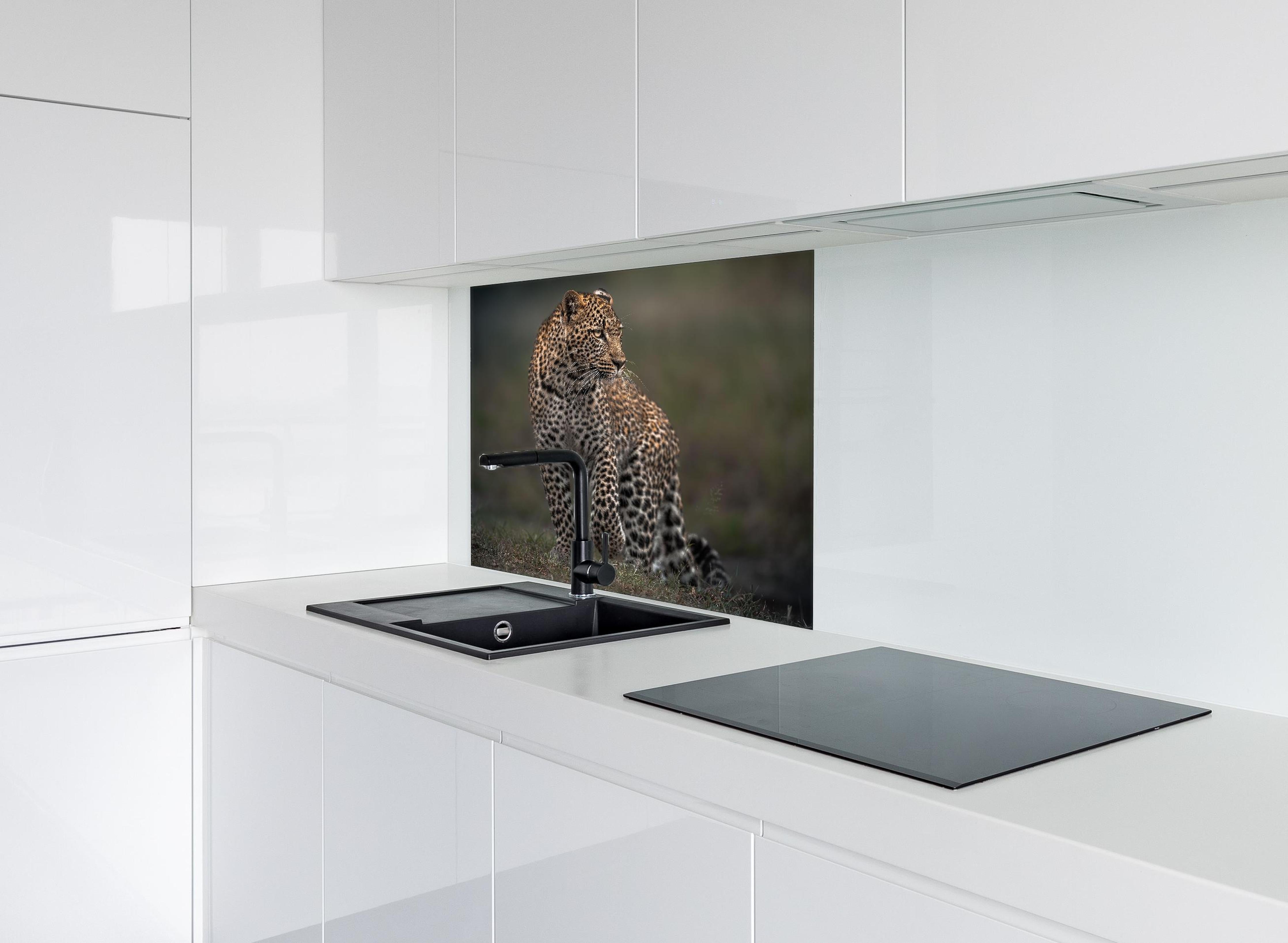 Spritzschutz - Fokussierter Leopard - Savanne hinter einem Cerankochfeld zwischen Holz-Kochutensilien