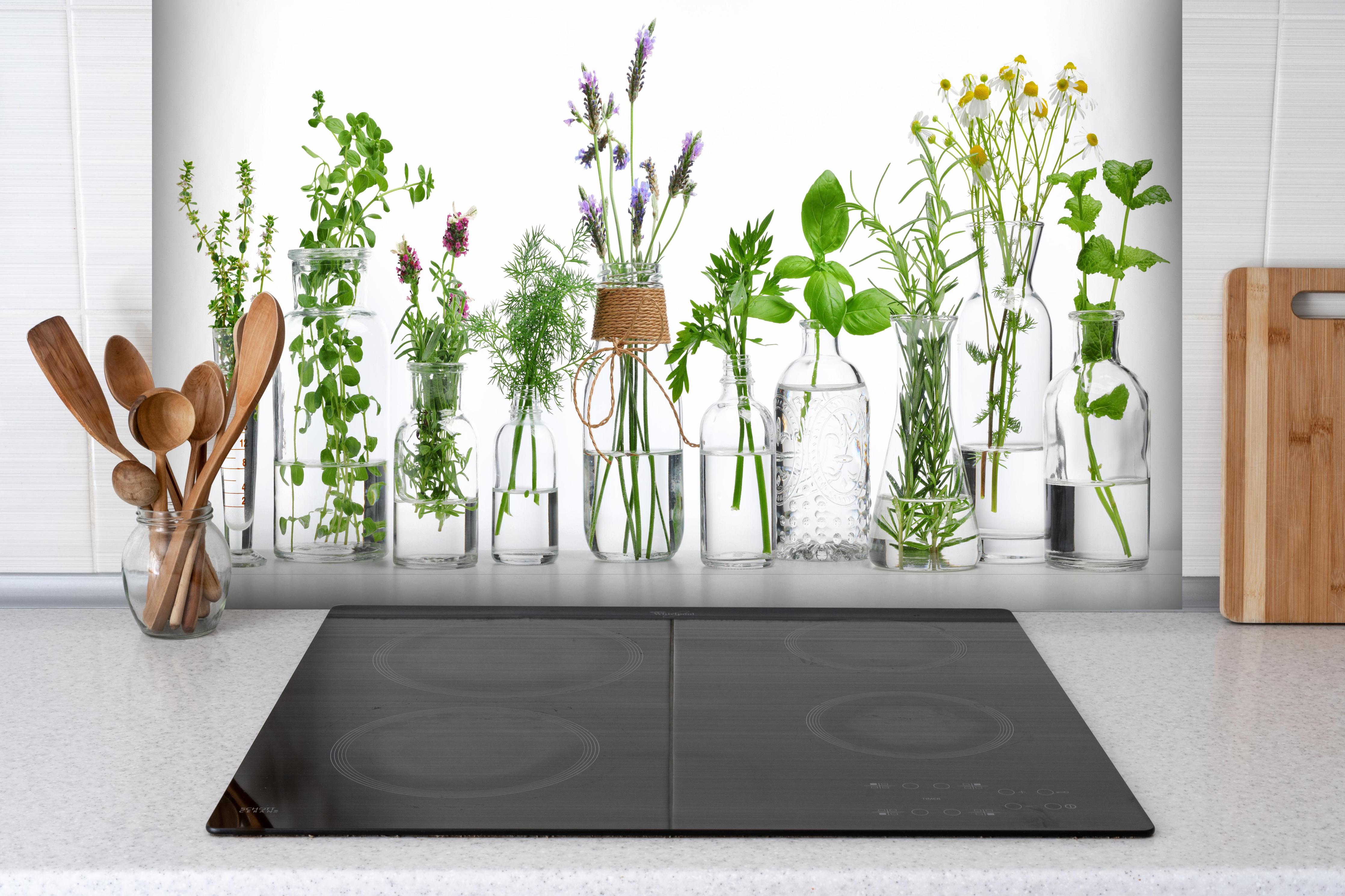 Spritzschutz - Frische Kräutervielfalt in Glasflaschen Weiß hinter einem Cerankochfeld zwischen Holz-Kochutensilien