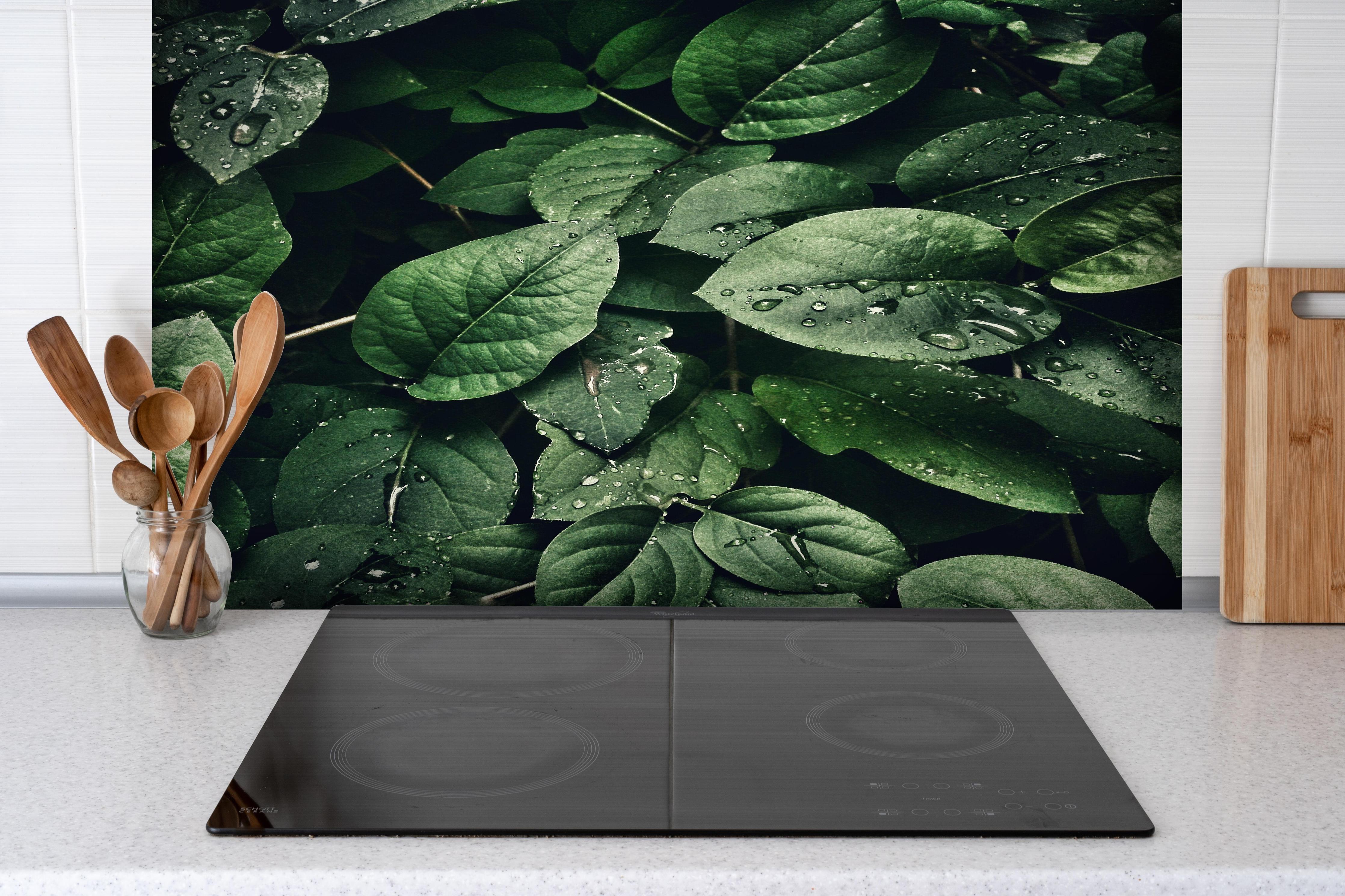 Spritzschutz - Frische Tropfen auf dunklen Blättern hinter einem Cerankochfeld zwischen Holz-Kochutensilien