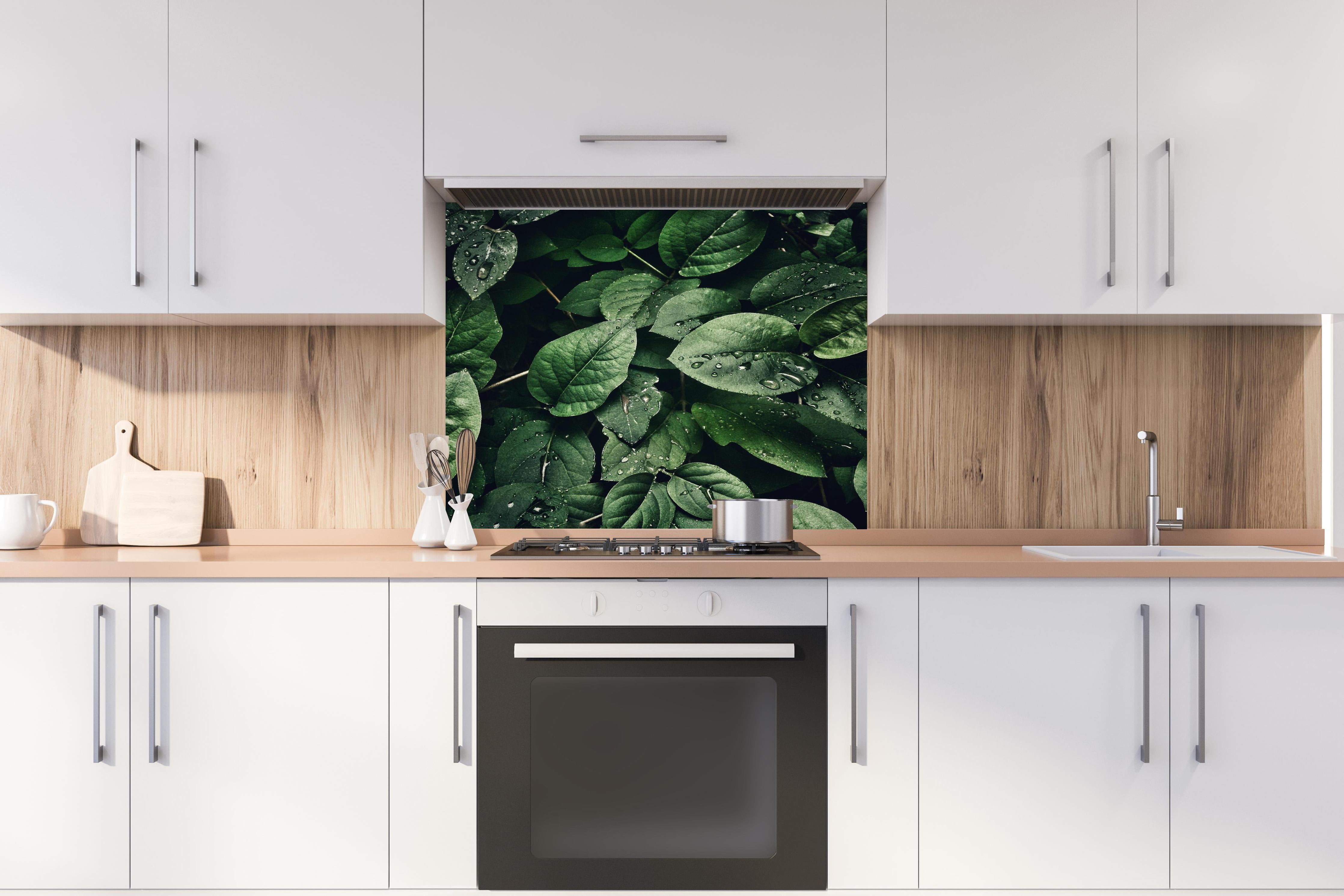Spritzschutz - Frische Tropfen auf dunklen Blättern hinter einem Cerankochfeld zwischen Holz-Kochutensilien