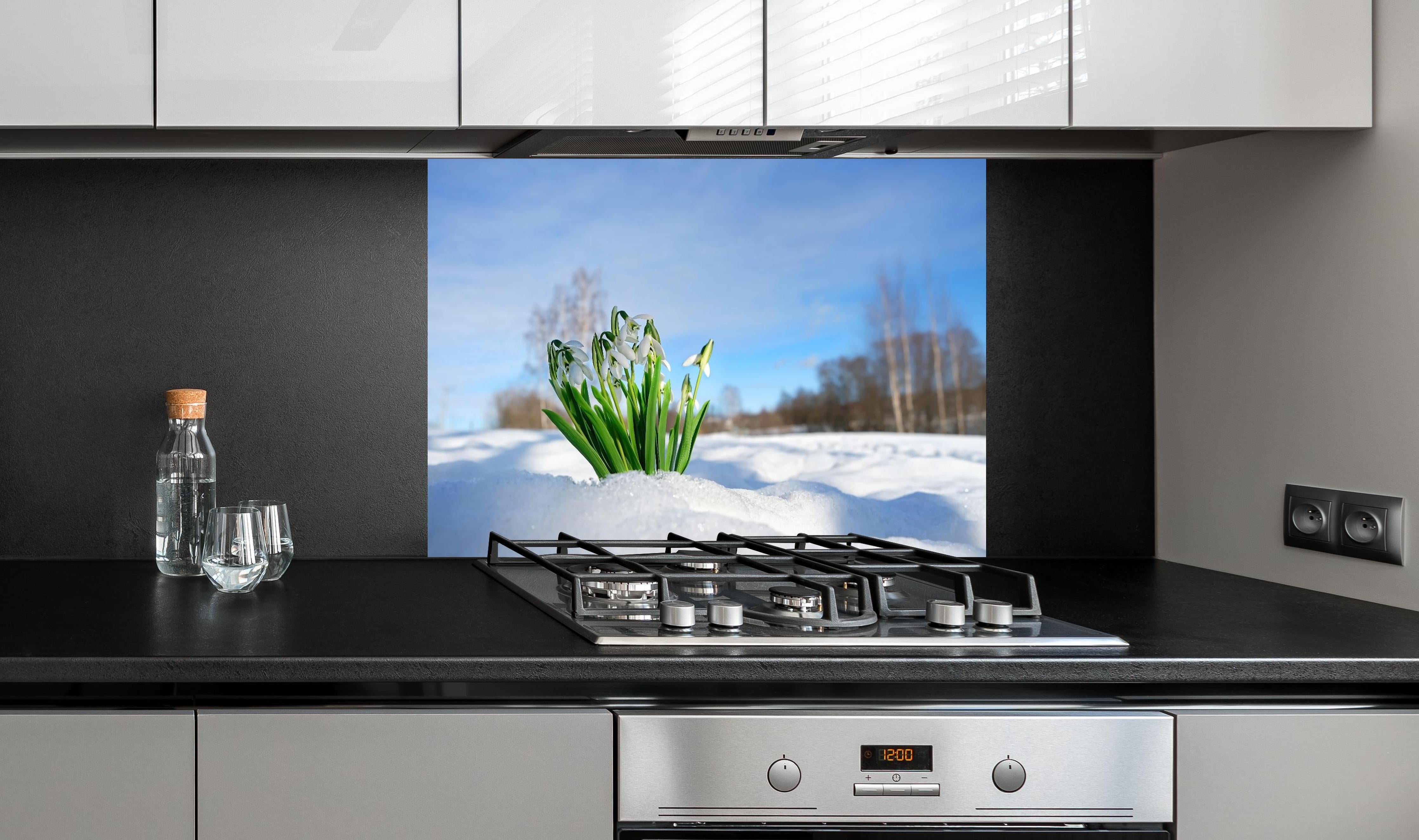 Spritzschutz - Frühlingsblumen durchbrechen Schneedecke hinter einem Cerankochfeld zwischen Holz-Kochutensilien