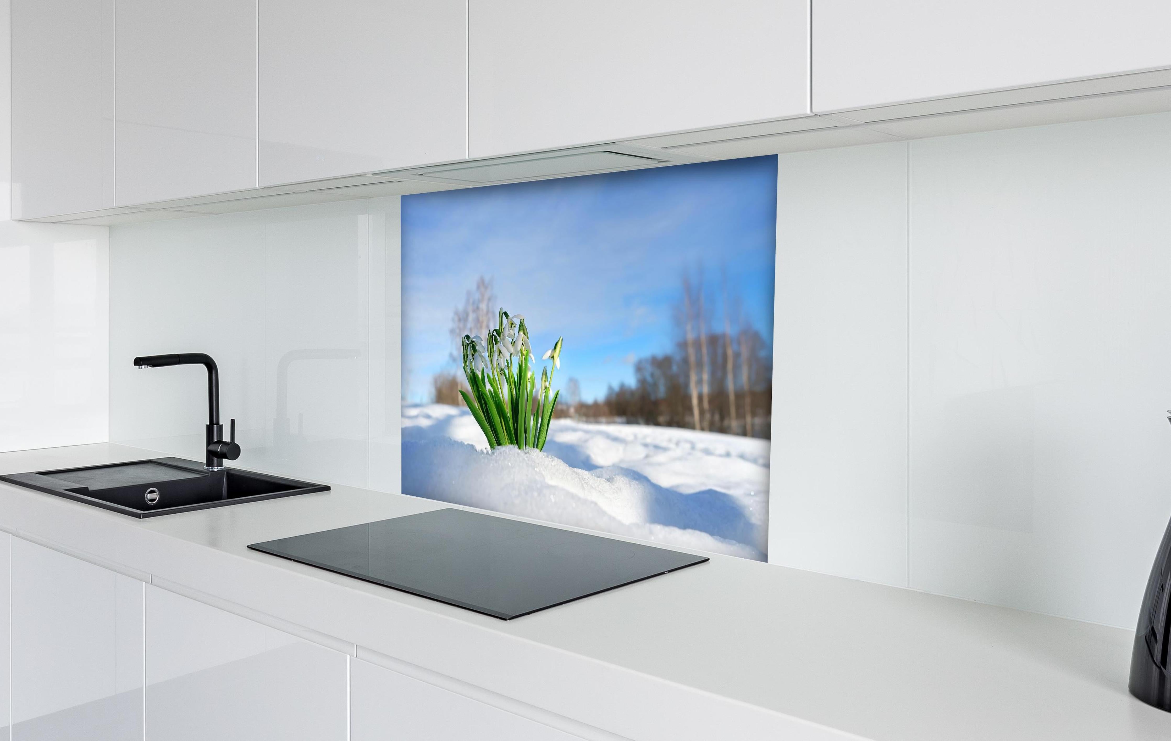 Spritzschutz - Frühlingsblumen durchbrechen Schneedecke hinter einem Cerankochfeld zwischen Holz-Kochutensilien