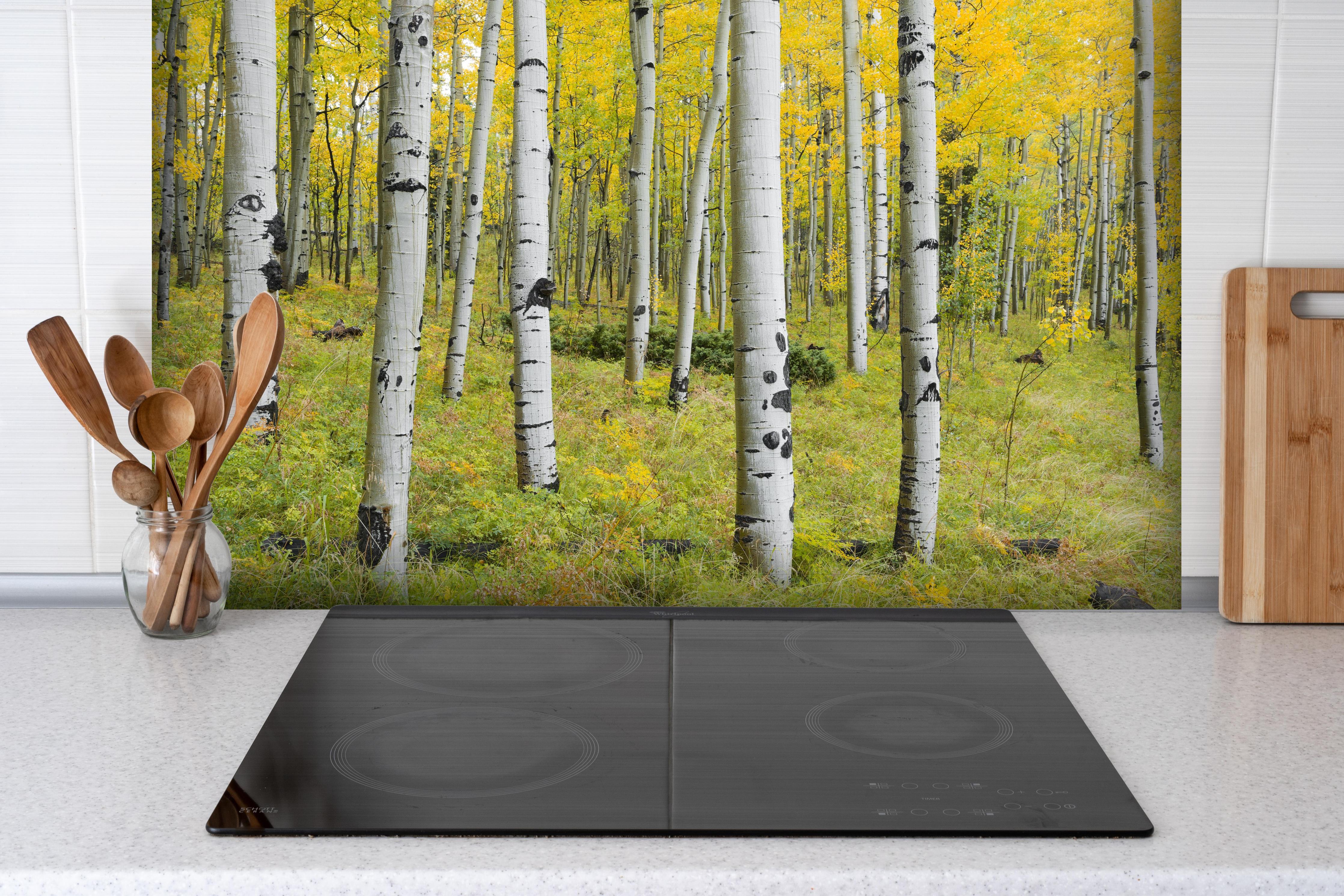 Spritzschutz - Gelb, grüner Birkenwald hinter einem Cerankochfeld zwischen Holz-Kochutensilien
