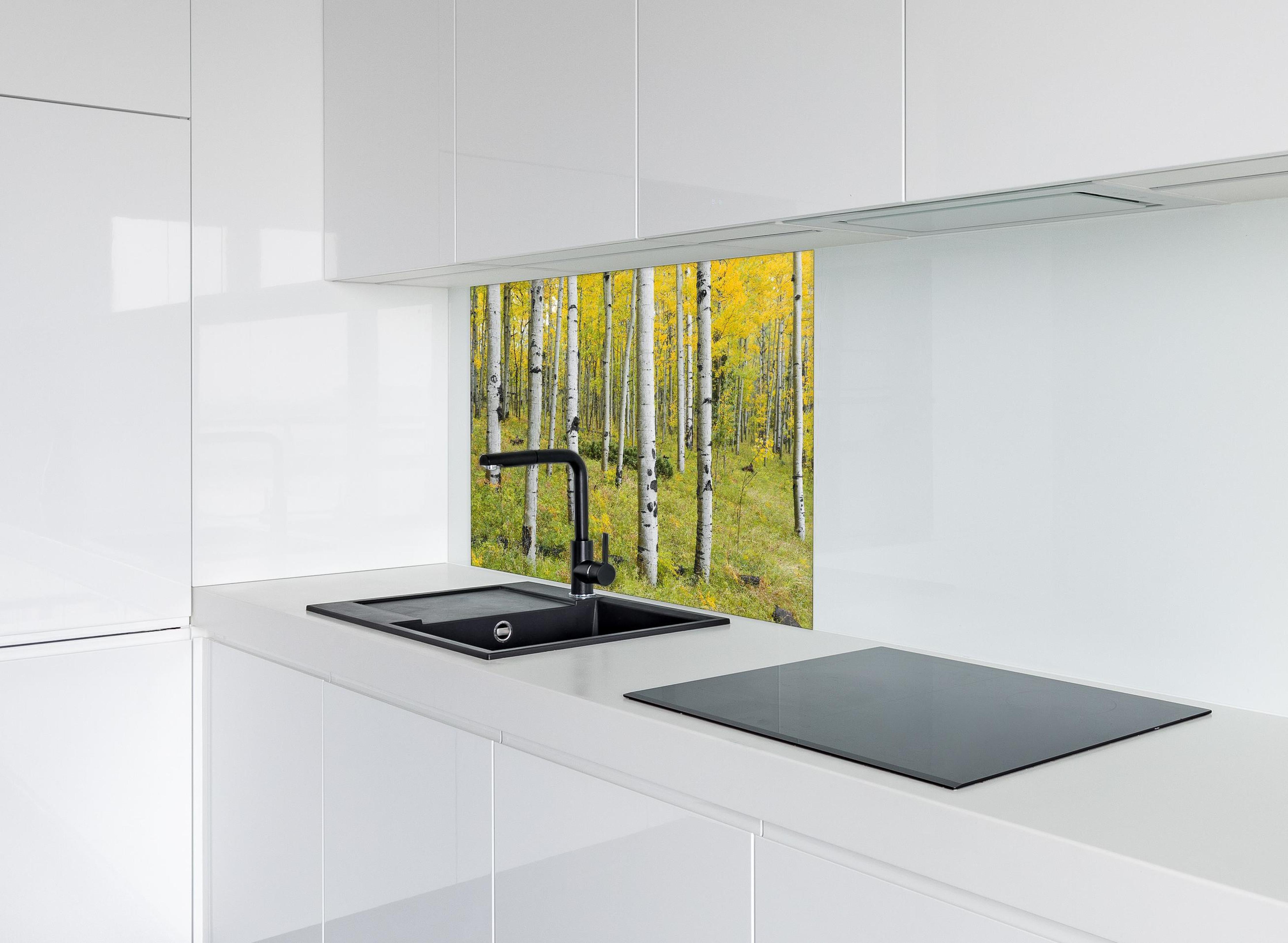 Spritzschutz - Gelb, grüner Birkenwald hinter einem Cerankochfeld zwischen Holz-Kochutensilien