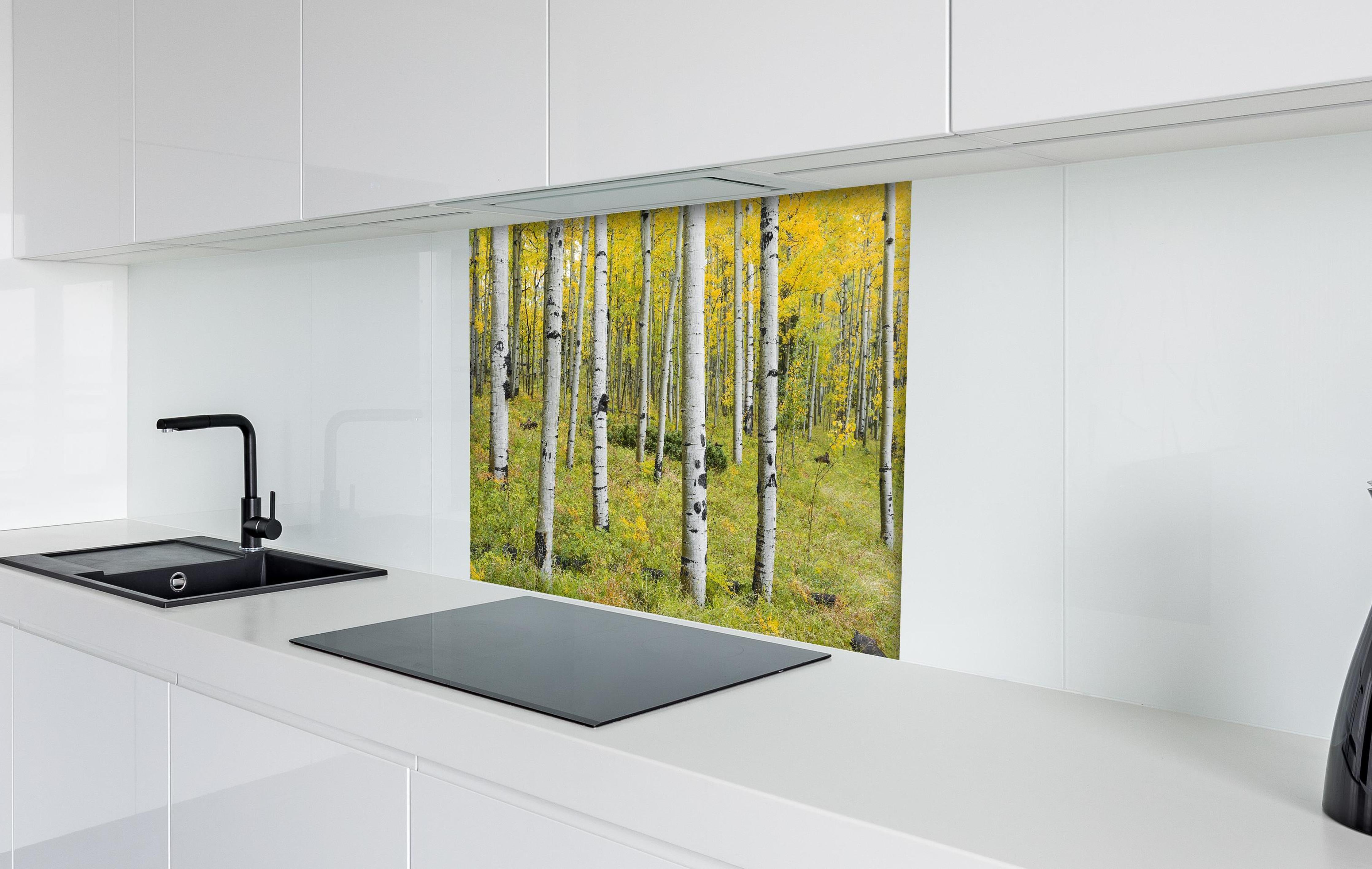 Spritzschutz - Gelb, grüner Birkenwald hinter einem Cerankochfeld zwischen Holz-Kochutensilien