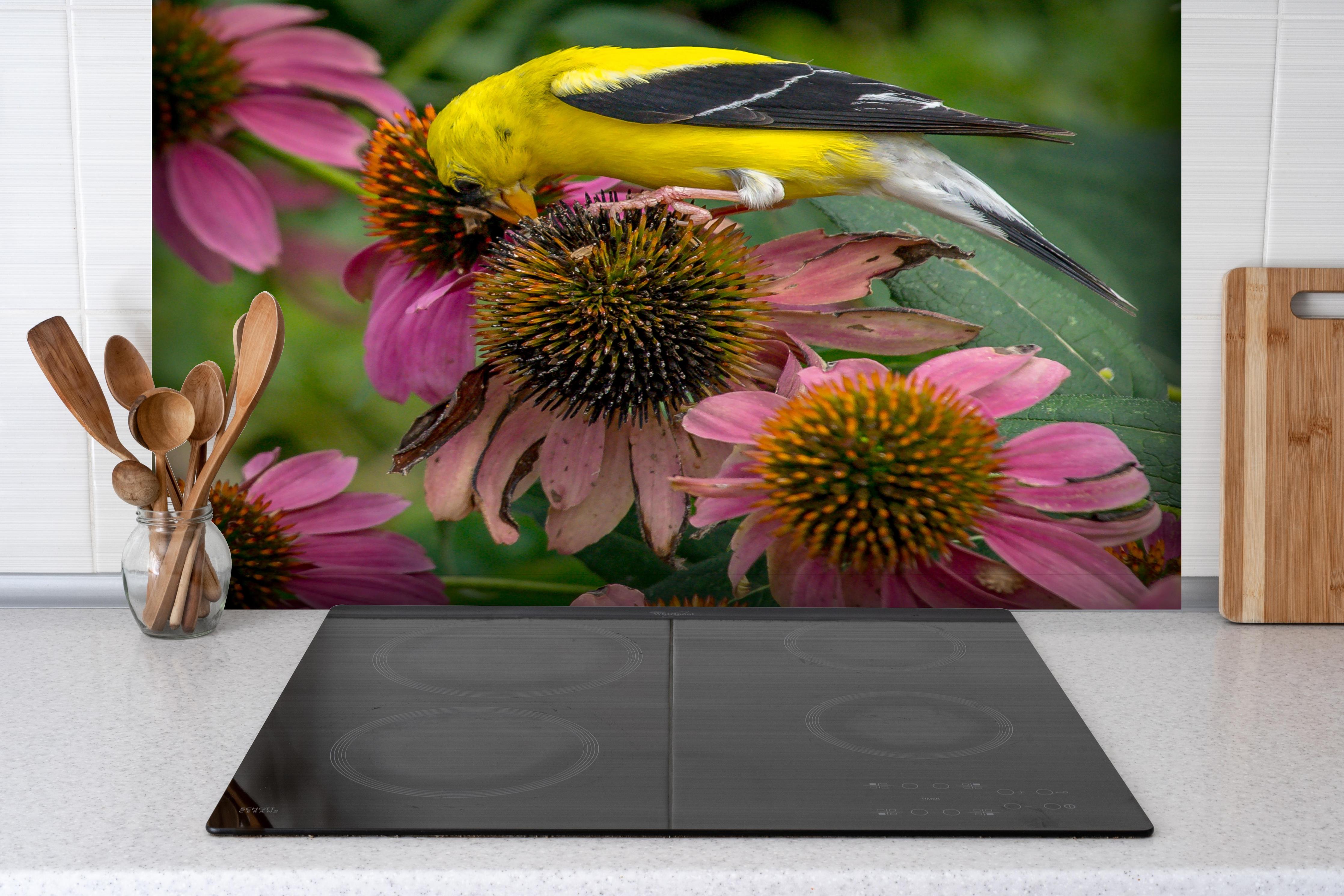 Spritzschutz - Gelber Vogel Genießt Nektar Pinker Blüten hinter einem Cerankochfeld zwischen Holz-Kochutensilien