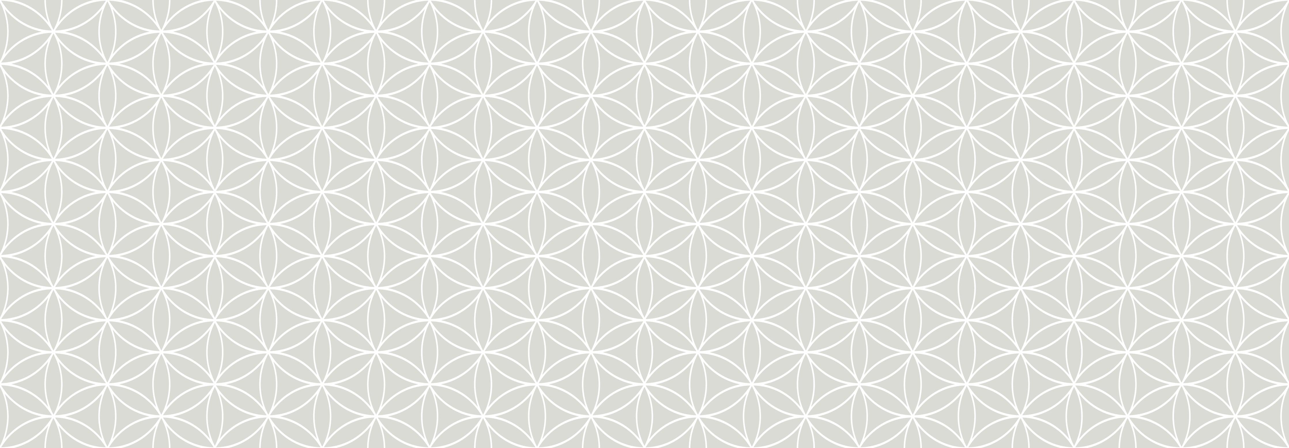 Spritzschutz-Geometrica Fiori Argento