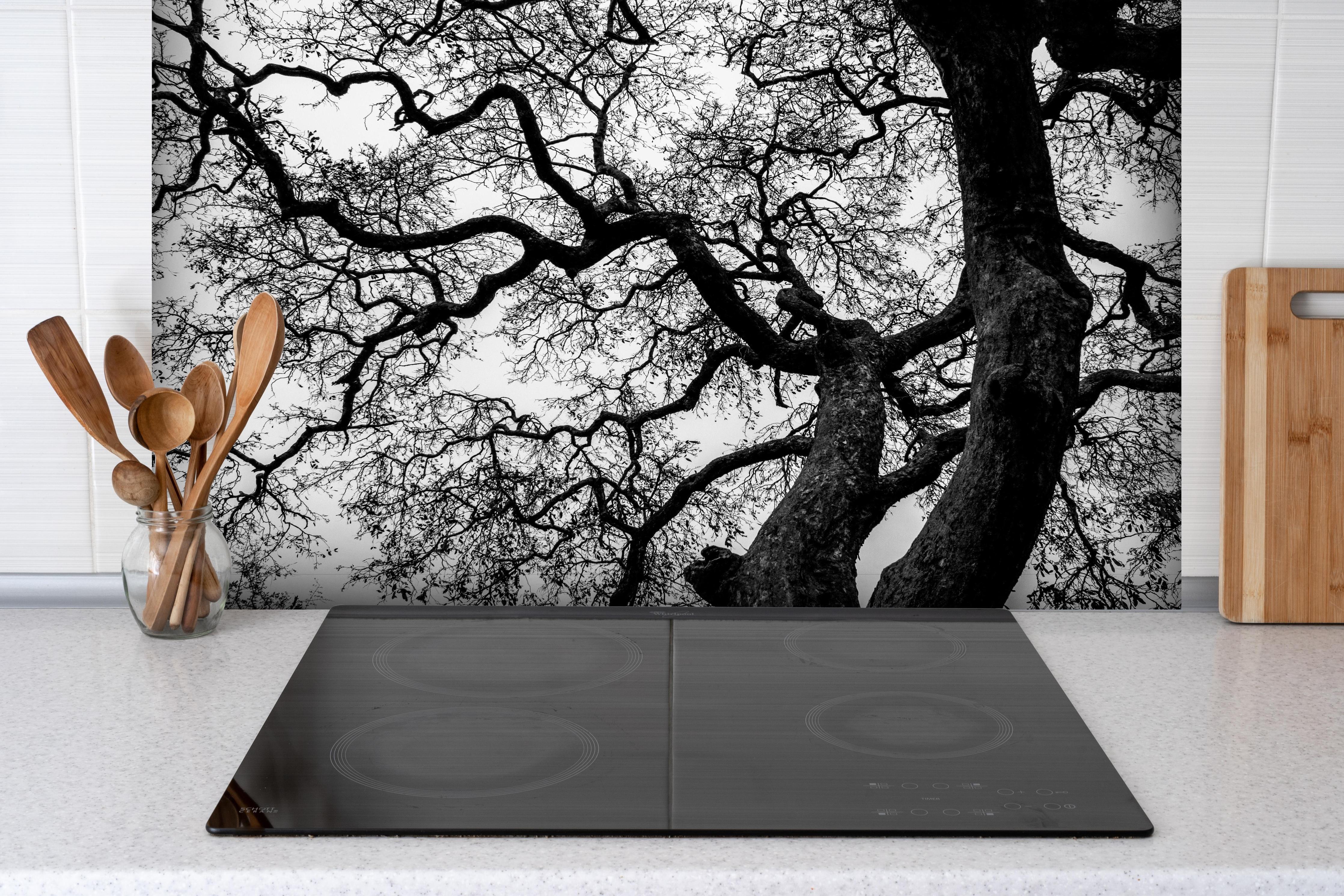 Spritzschutz - Geometrische Baumäste Monochrom Kunst hinter einem Cerankochfeld zwischen Holz-Kochutensilien