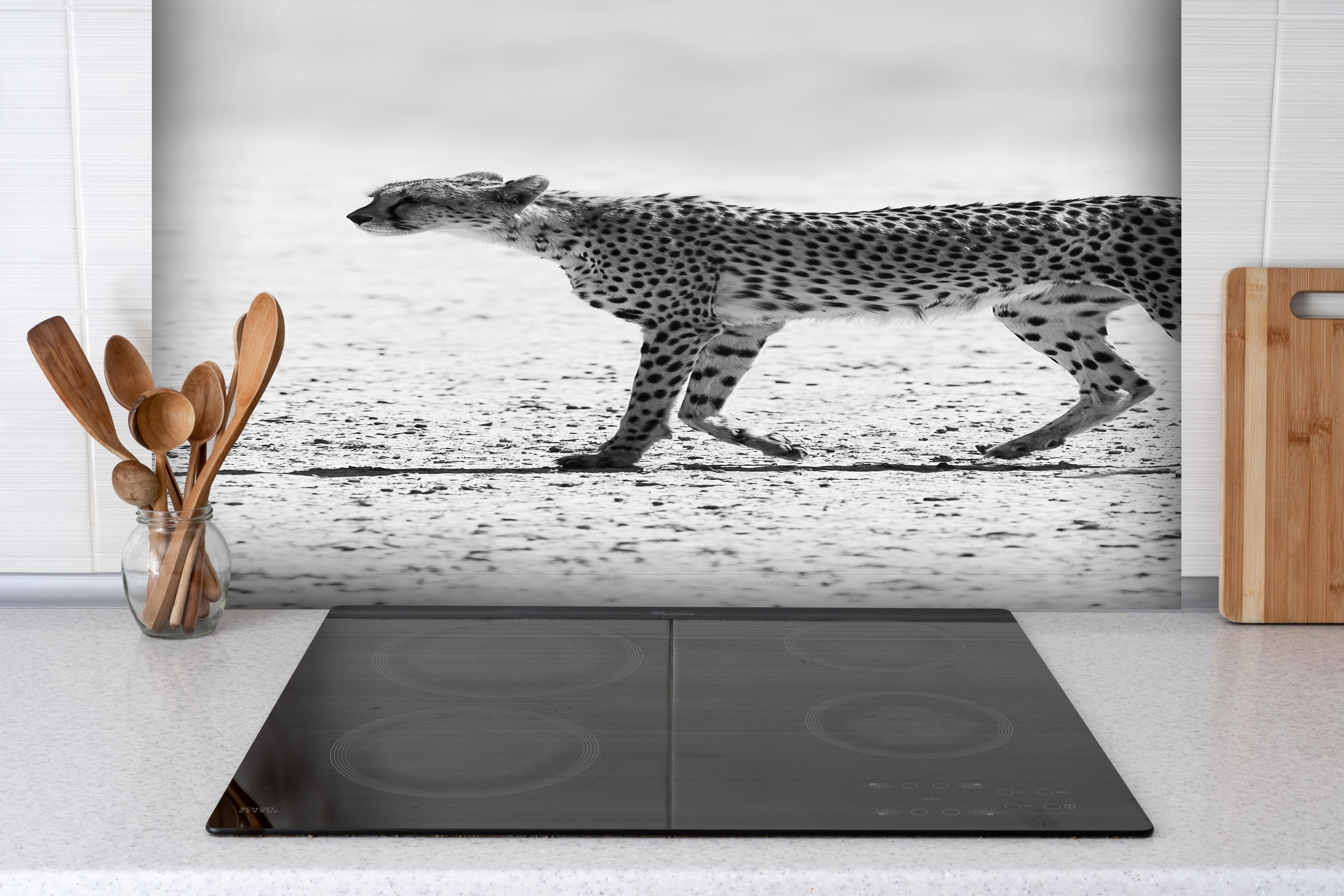 Spritzschutz - Gepard - schwarz-weiß hinter einem Cerankochfeld zwischen Holz-Kochutensilien