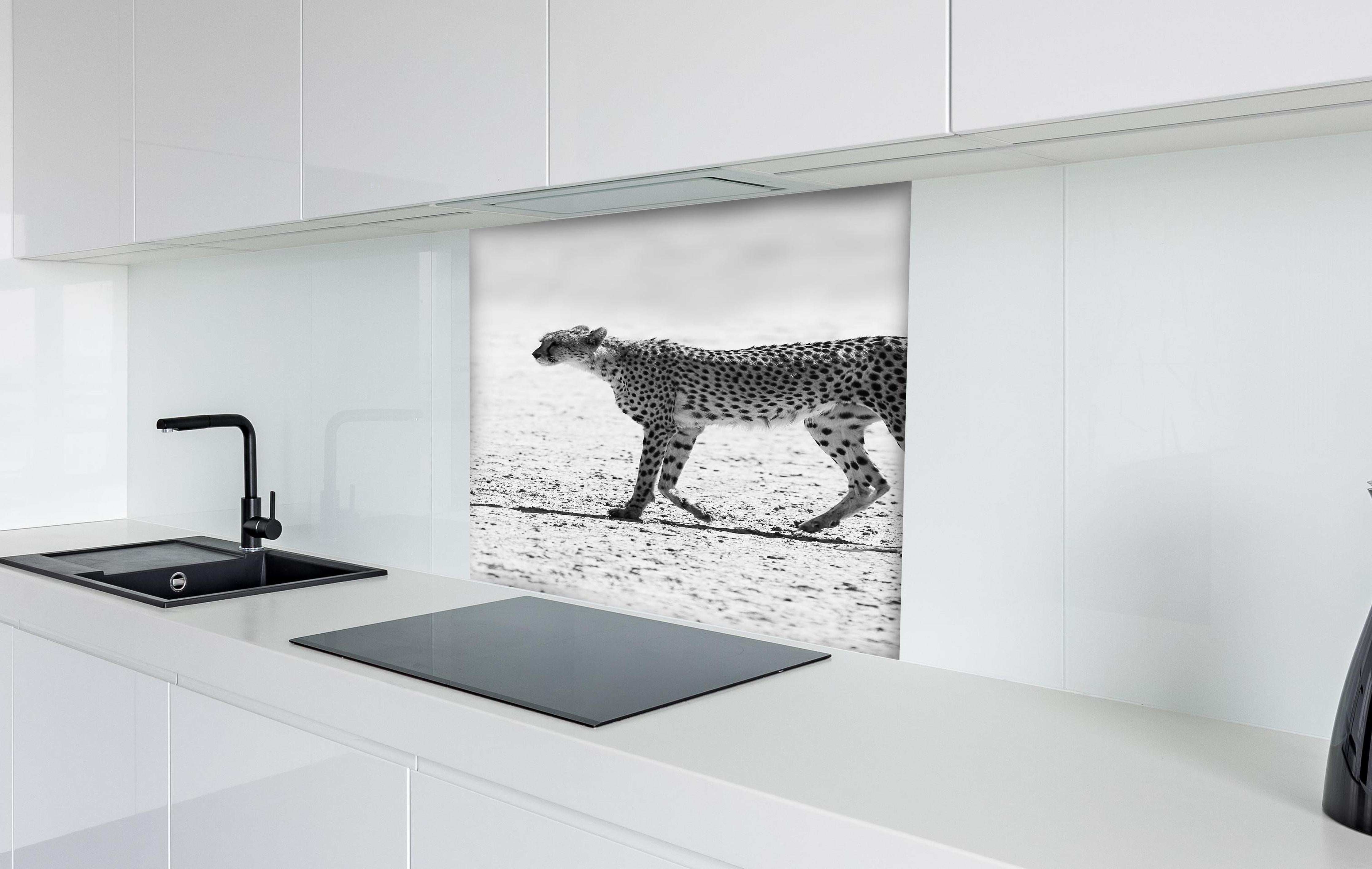 Spritzschutz - Gepard - schwarz-weiß hinter einem Cerankochfeld zwischen Holz-Kochutensilien
