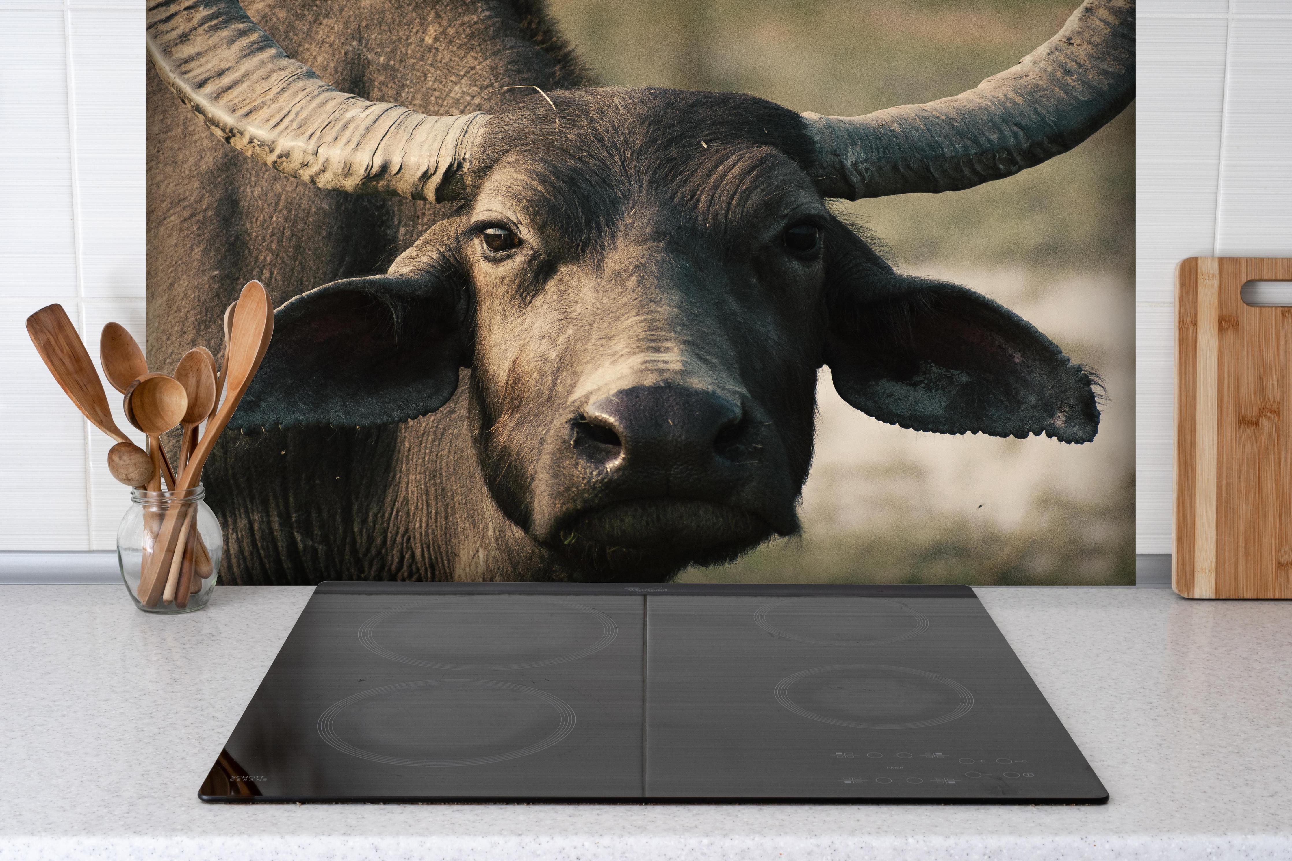 Spritzschutz - Gesicht eines Büffels hinter einem Cerankochfeld zwischen Holz-Kochutensilien