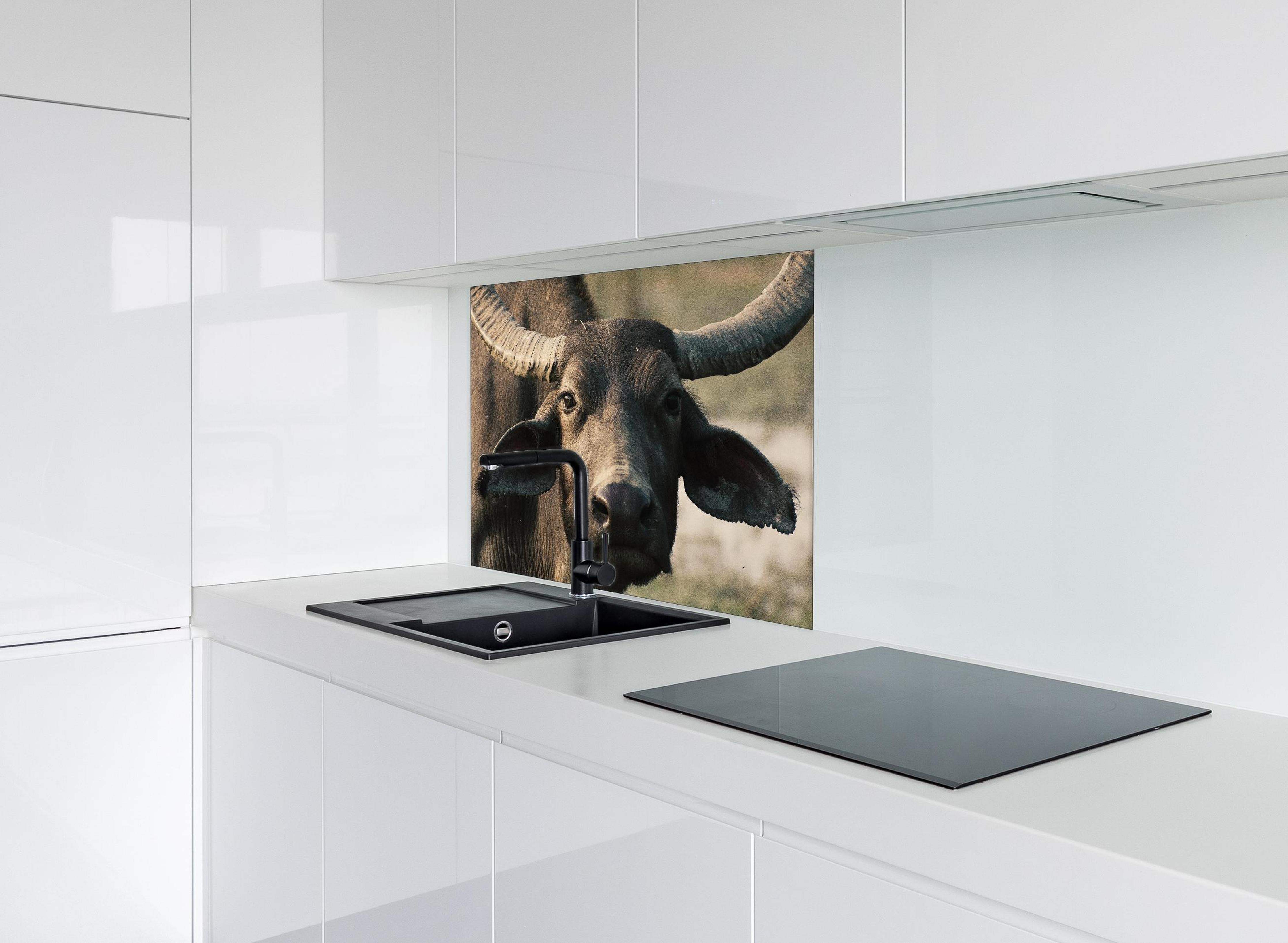 Spritzschutz - Gesicht eines Büffels hinter einem Cerankochfeld zwischen Holz-Kochutensilien