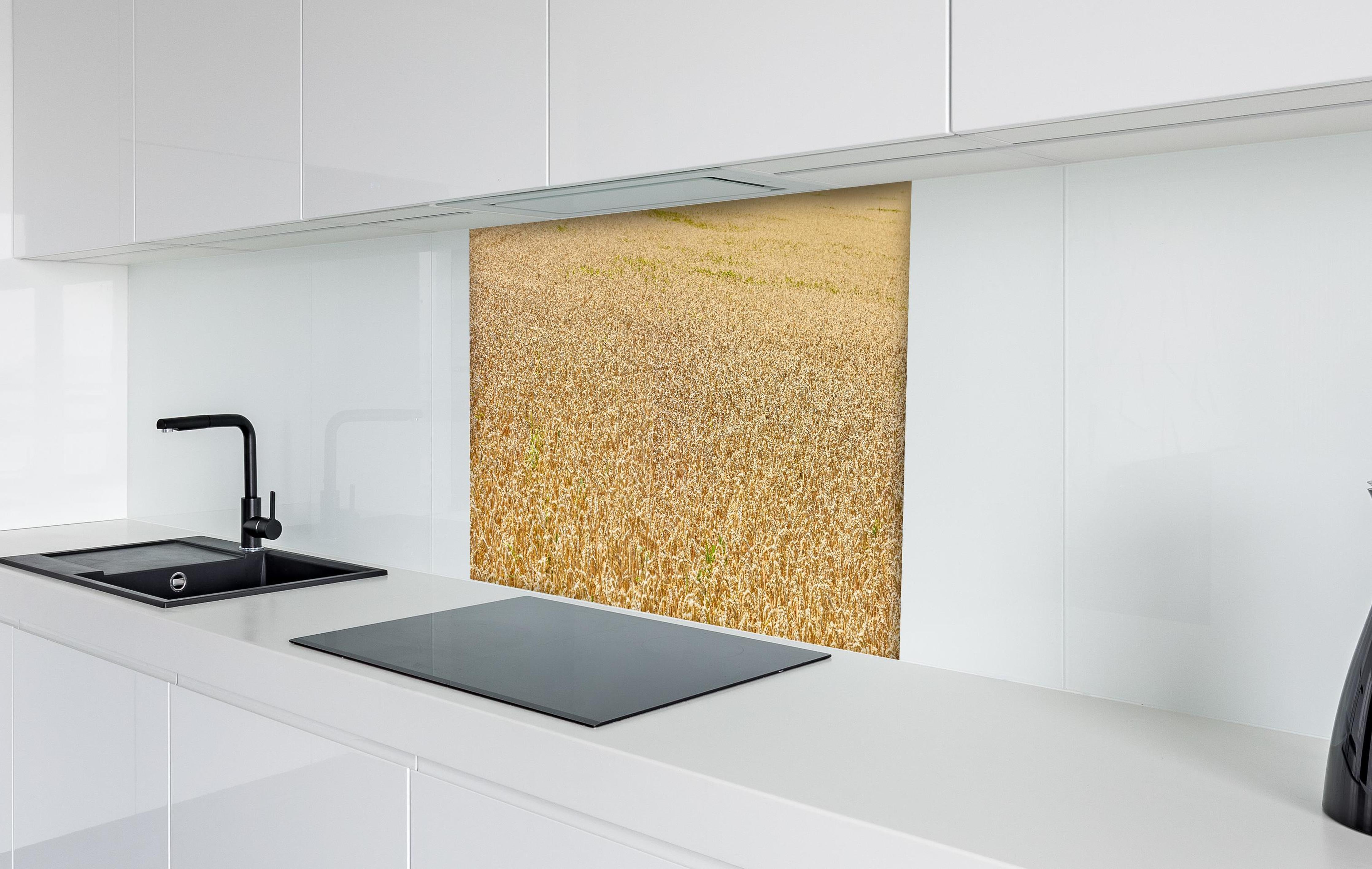 Spritzschutz - Getreidefeld - Panoramabild hinter einem Cerankochfeld zwischen Holz-Kochutensilien