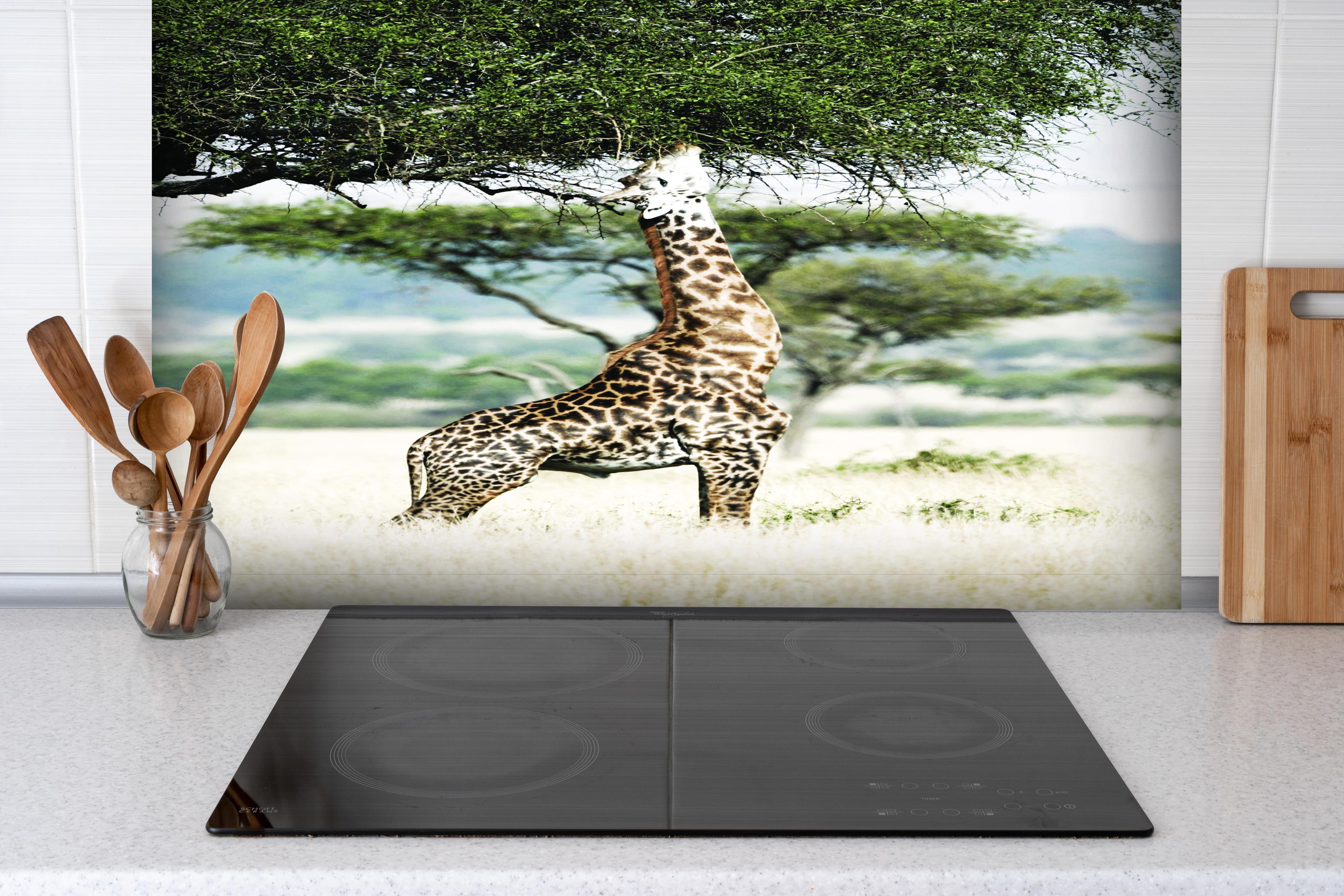 Spritzschutz - Giraffe in der Savanne hinter einem Cerankochfeld zwischen Holz-Kochutensilien
