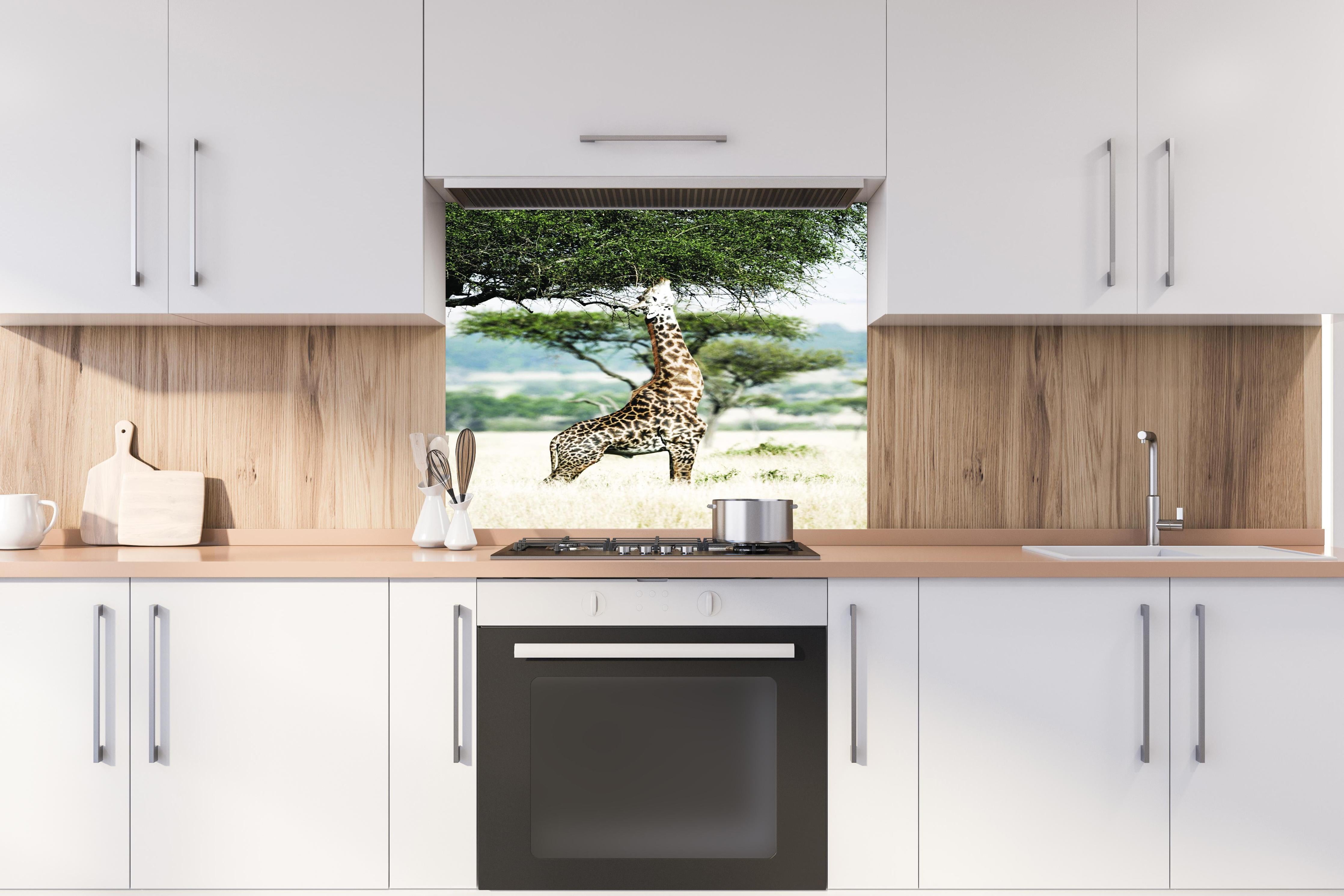 Spritzschutz - Giraffe in der Savanne hinter einem Cerankochfeld zwischen Holz-Kochutensilien