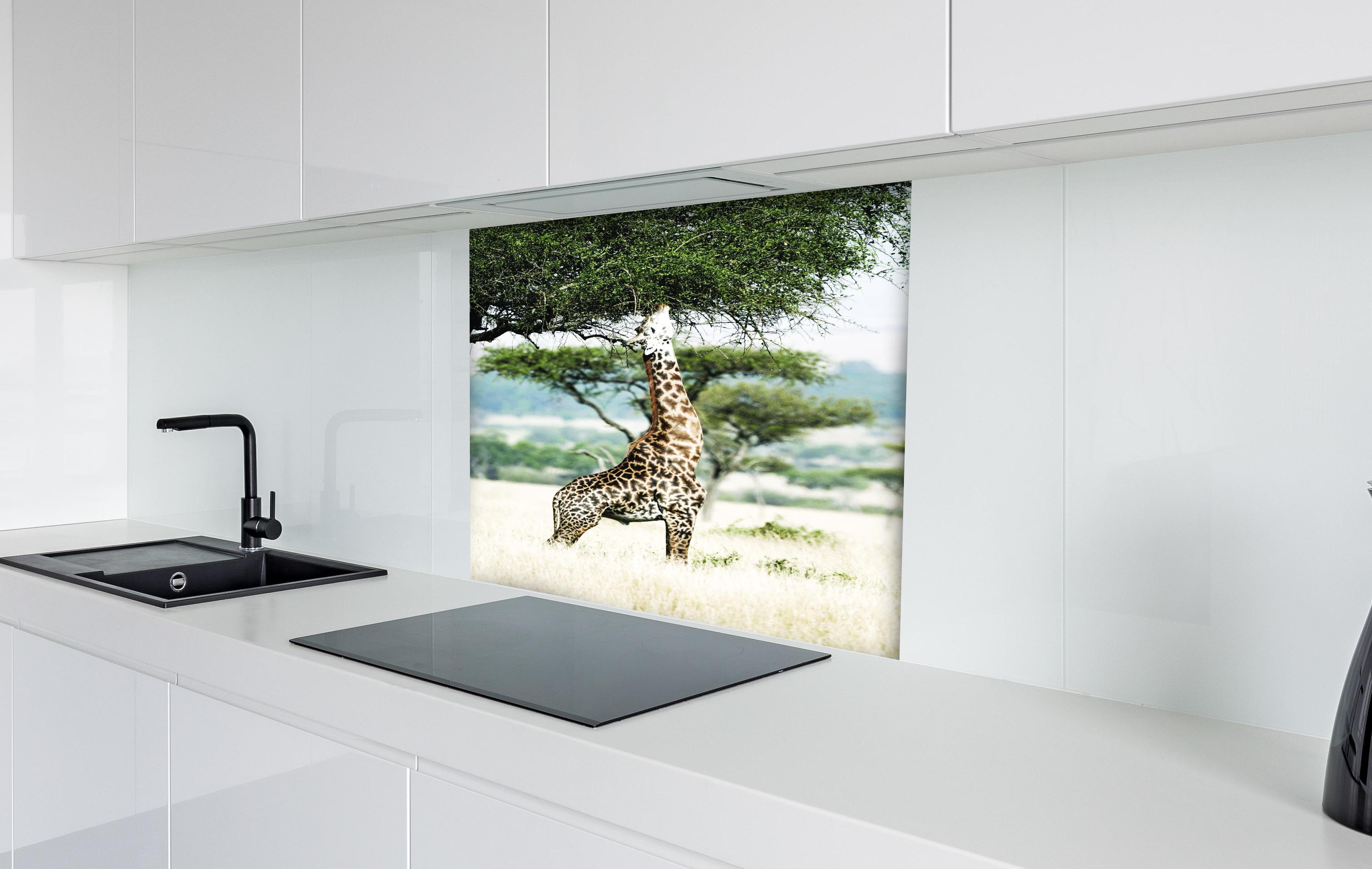 Spritzschutz - Giraffe in der Savanne hinter einem Cerankochfeld zwischen Holz-Kochutensilien