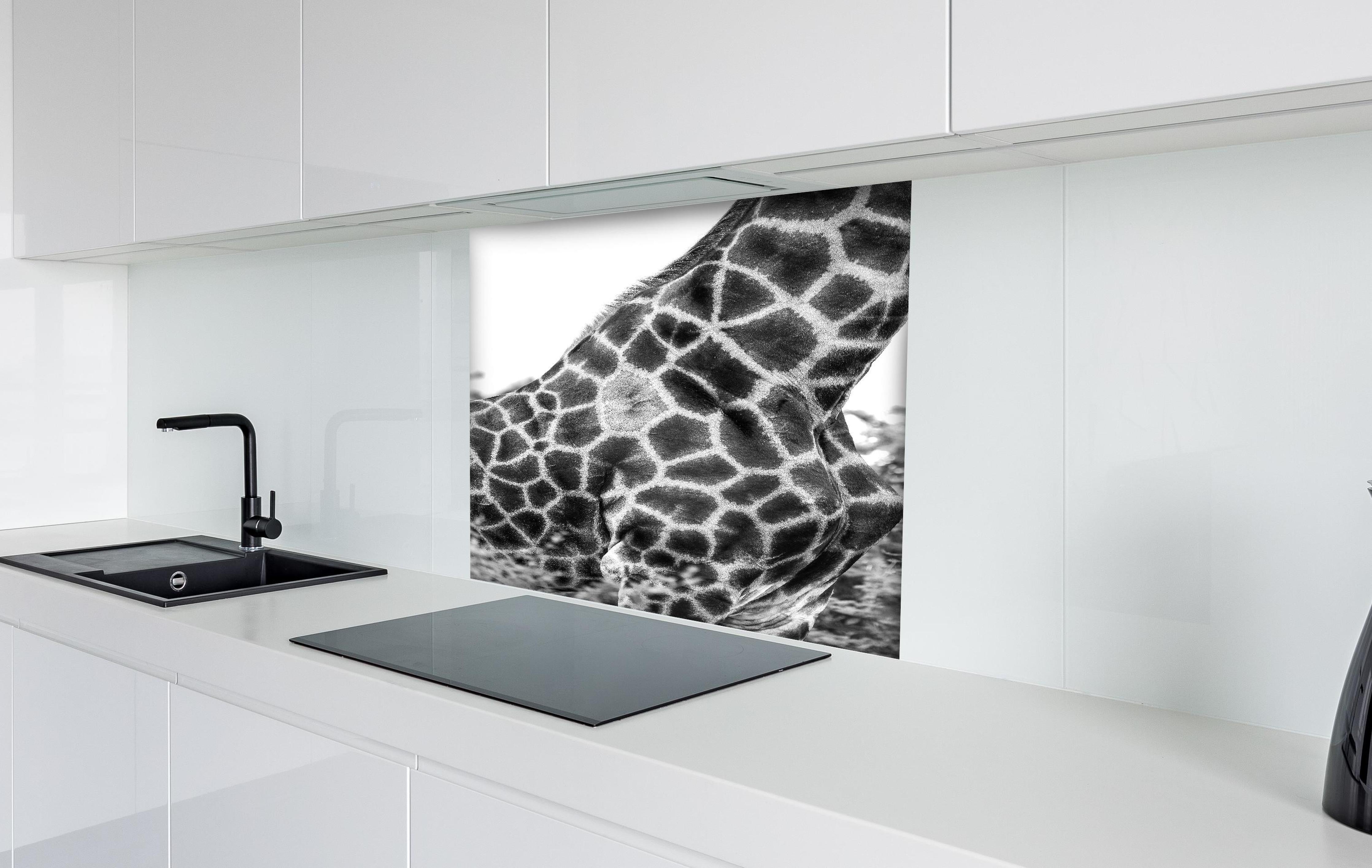 Spritzschutz - Giraffen Oberkörper hinter einem Cerankochfeld zwischen Holz-Kochutensilien